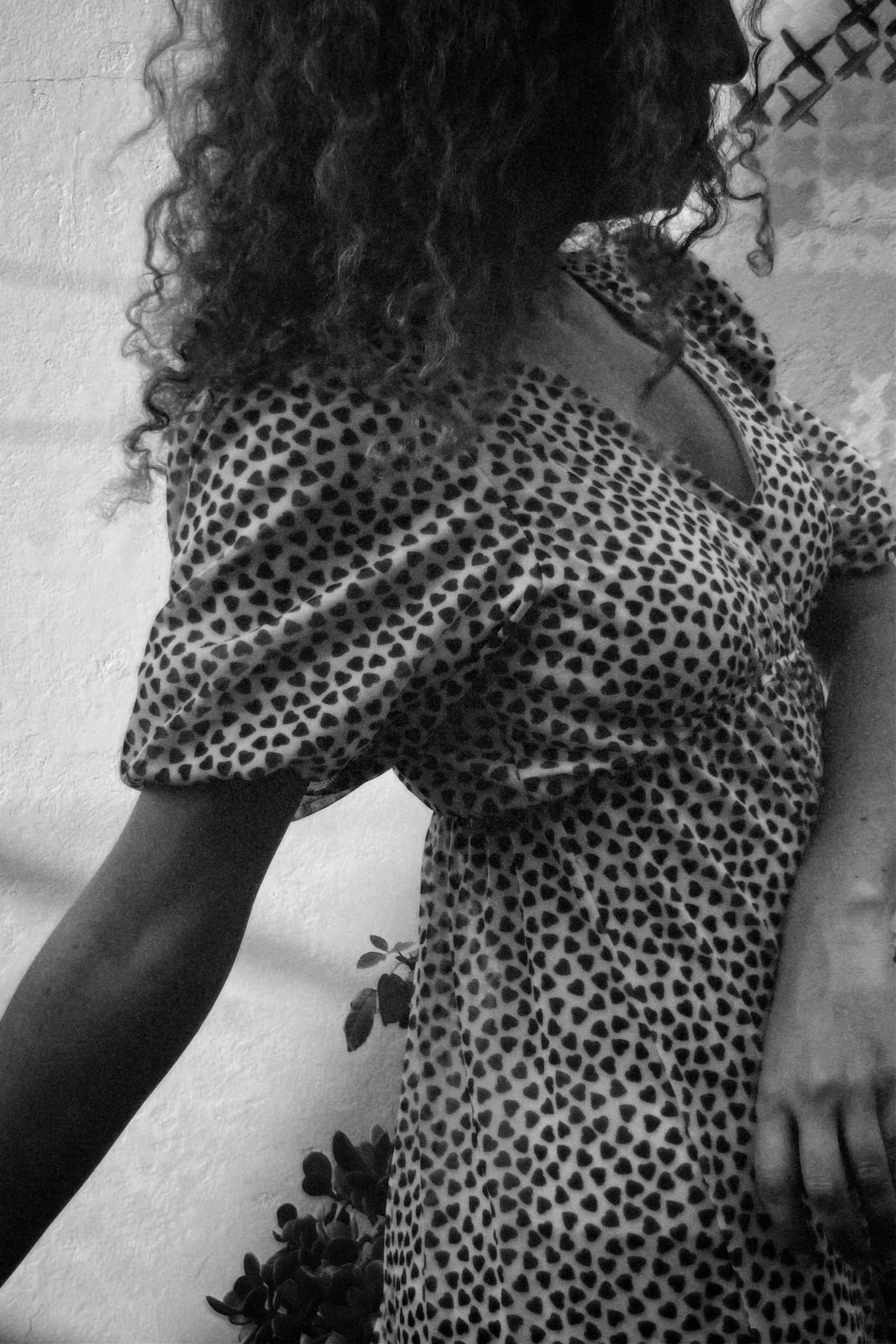 Creatrice II