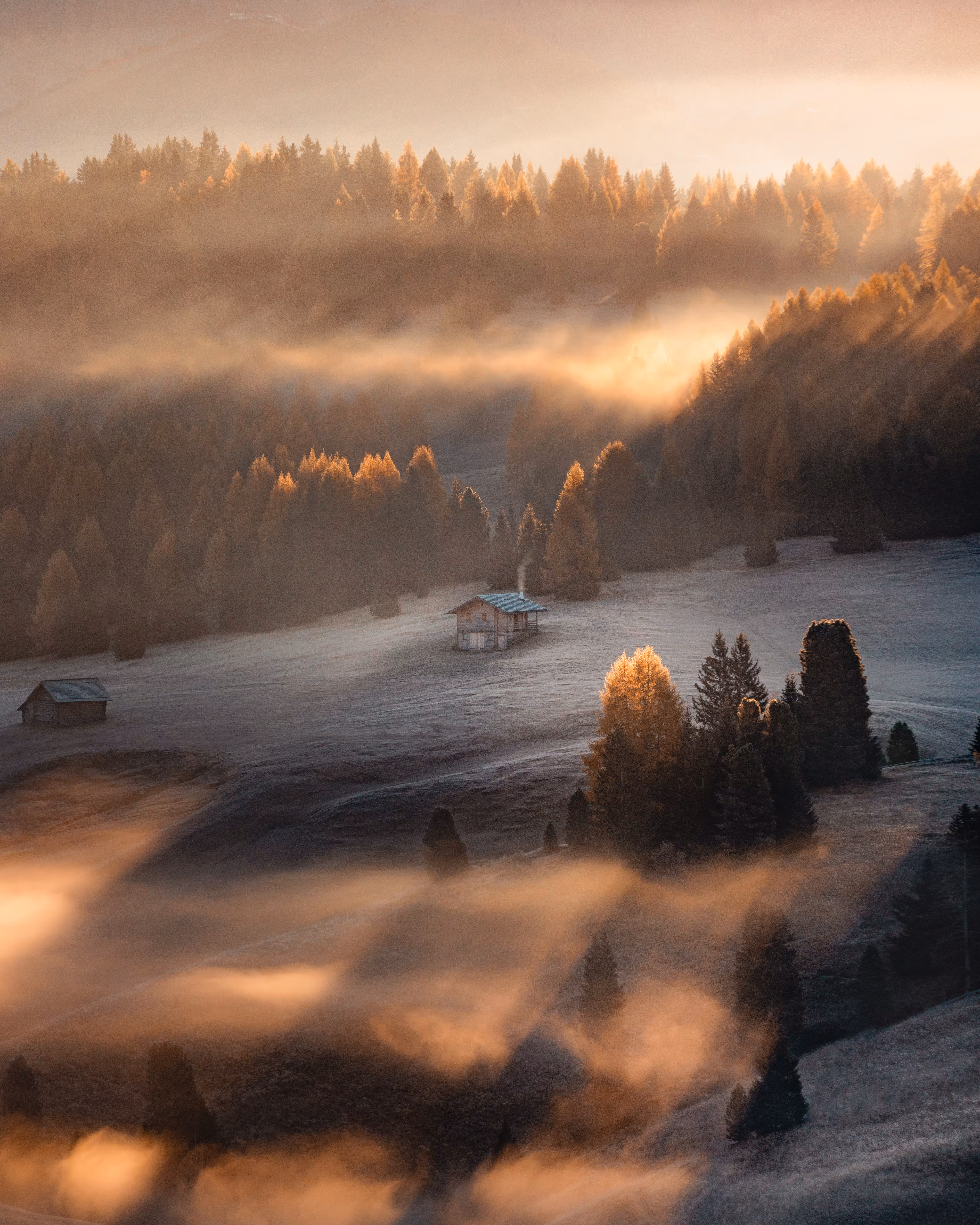 Rays of Autumn