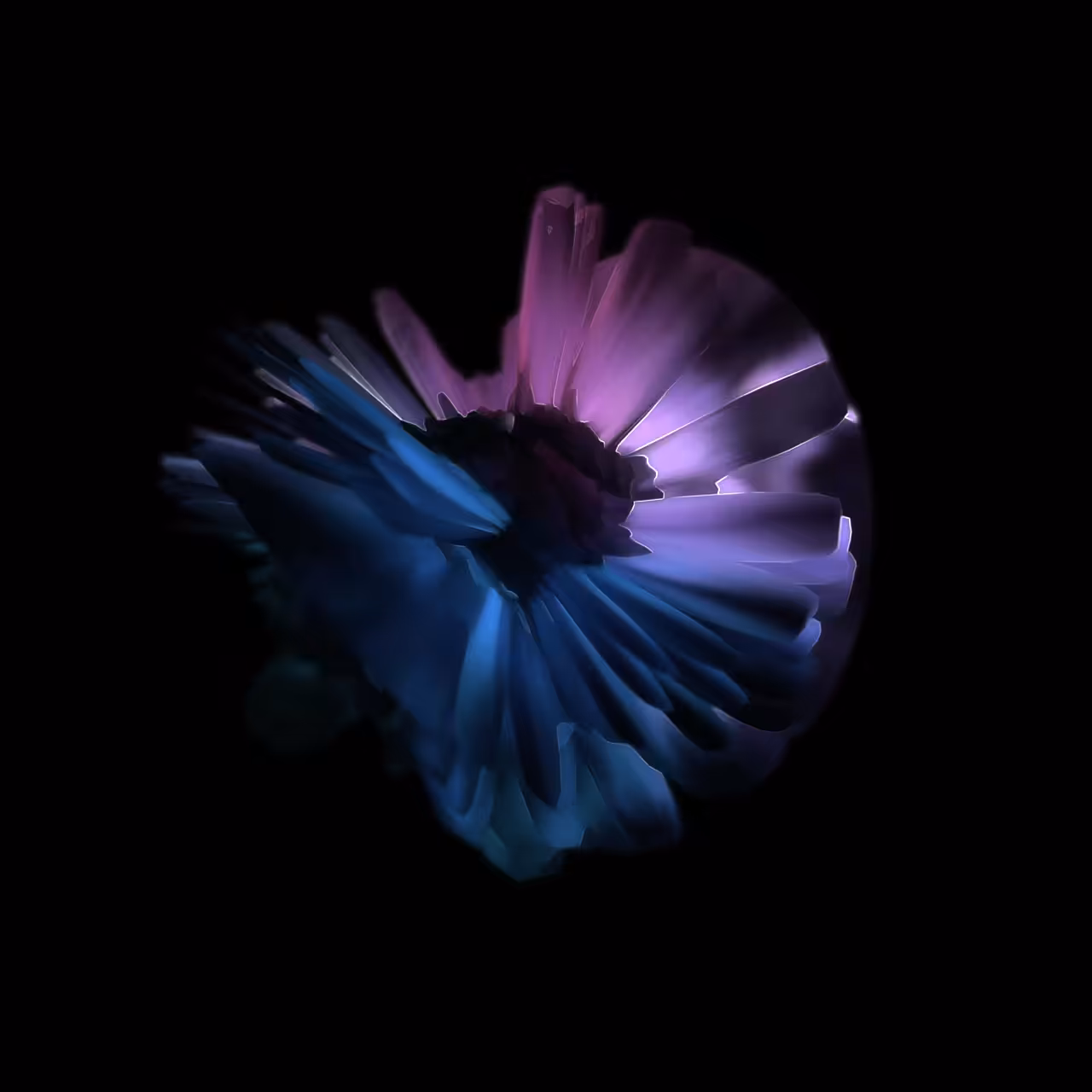 Spectrum Flower #5 — Blurry