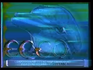 Ecco the Dolphin