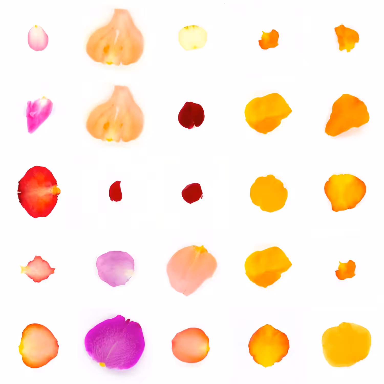 Infinite Petals 5x5#1092