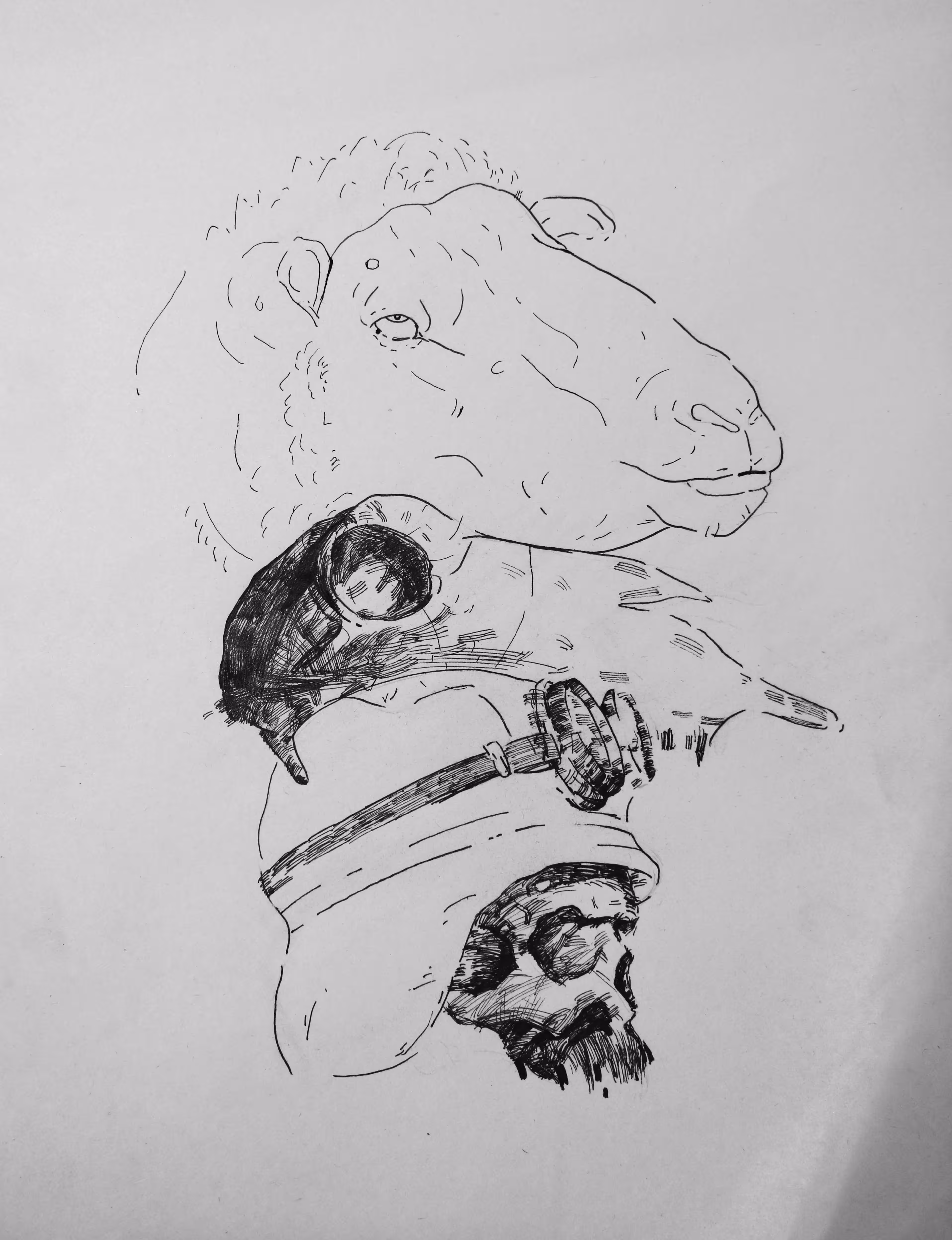 sheep meep