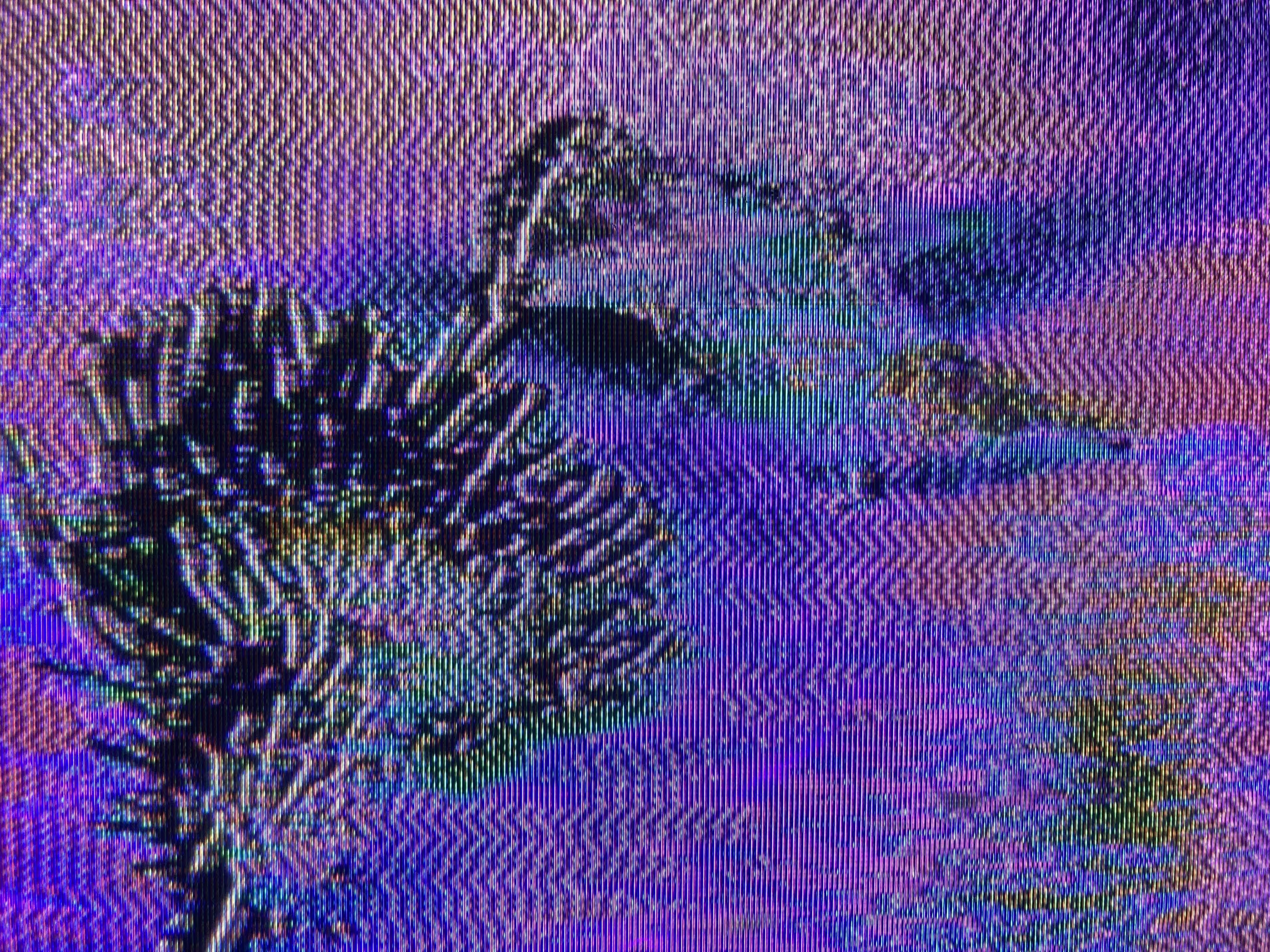 glitchbirb-004