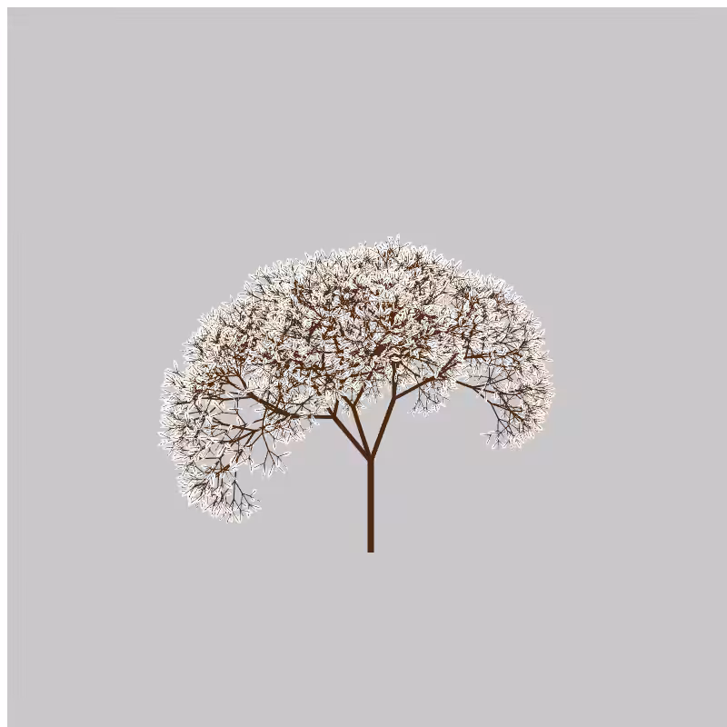 CandyTree #5