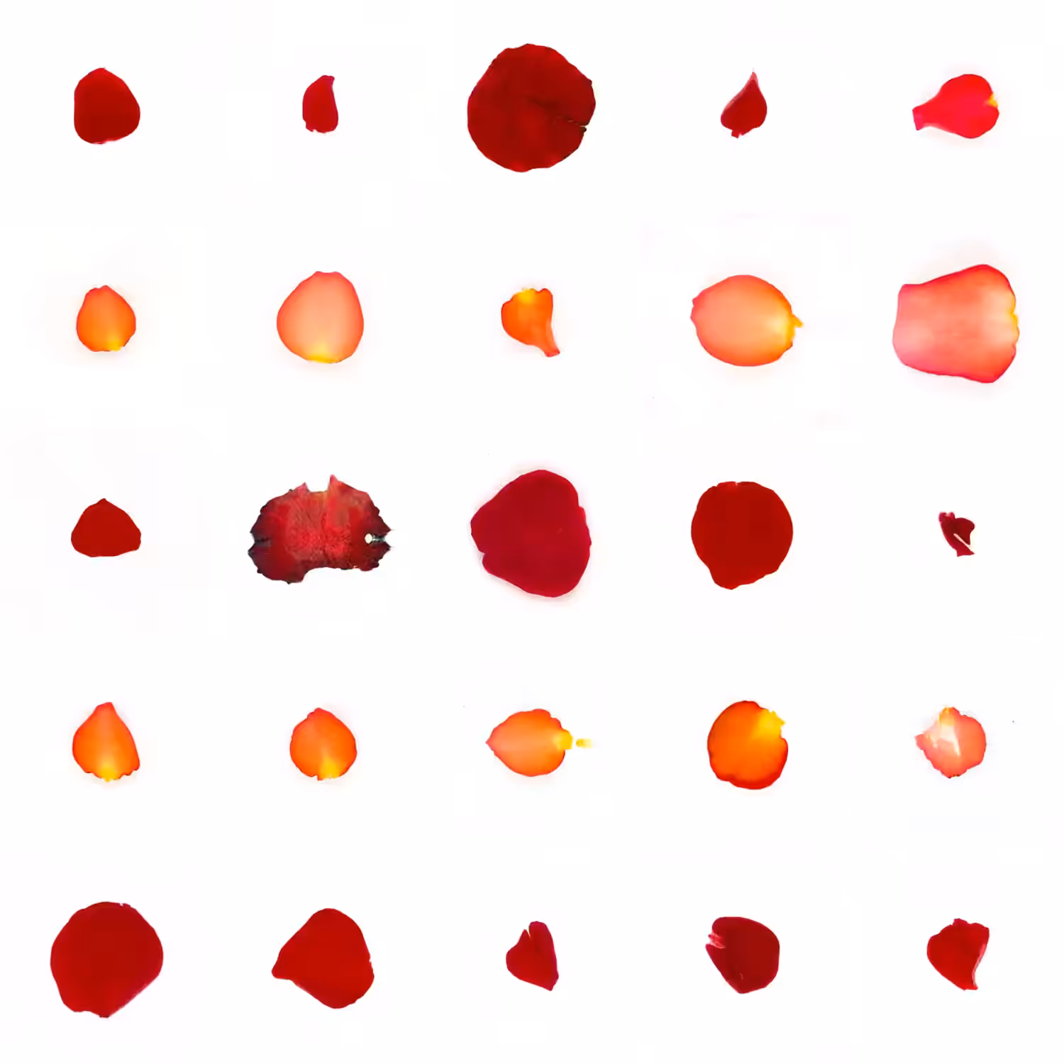 Infinite Petals 5x5#20104