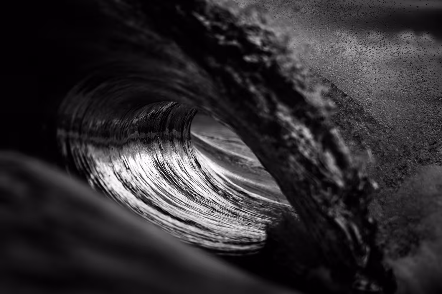 Ride the Wild Surf