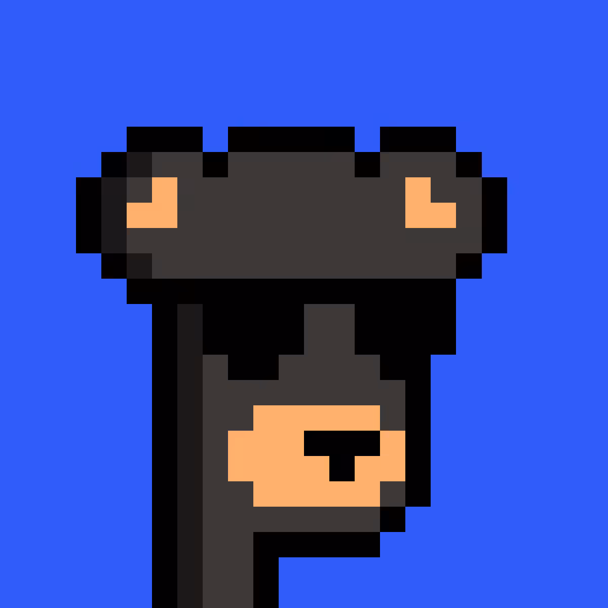 BearPunks #4978