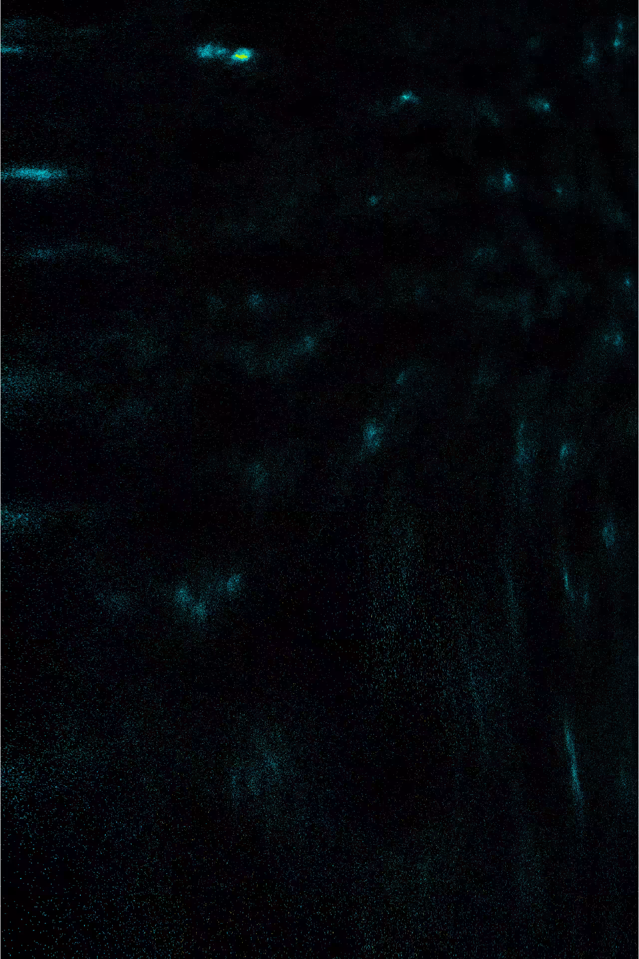 Linear Perturbations #29