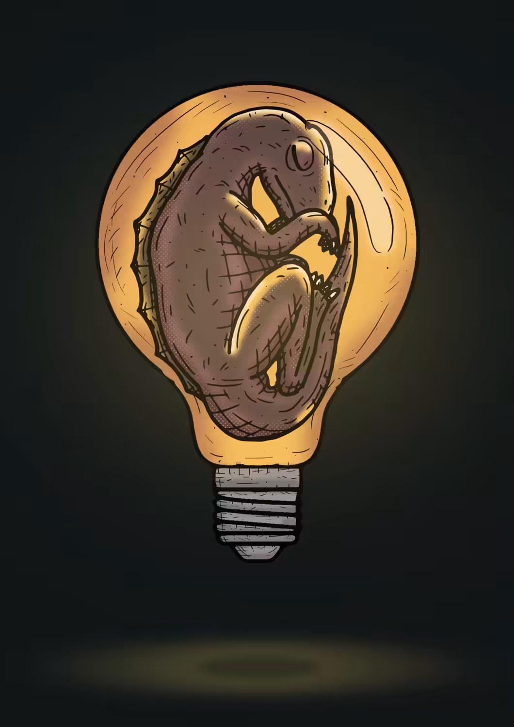 FOCUSSAUR #11