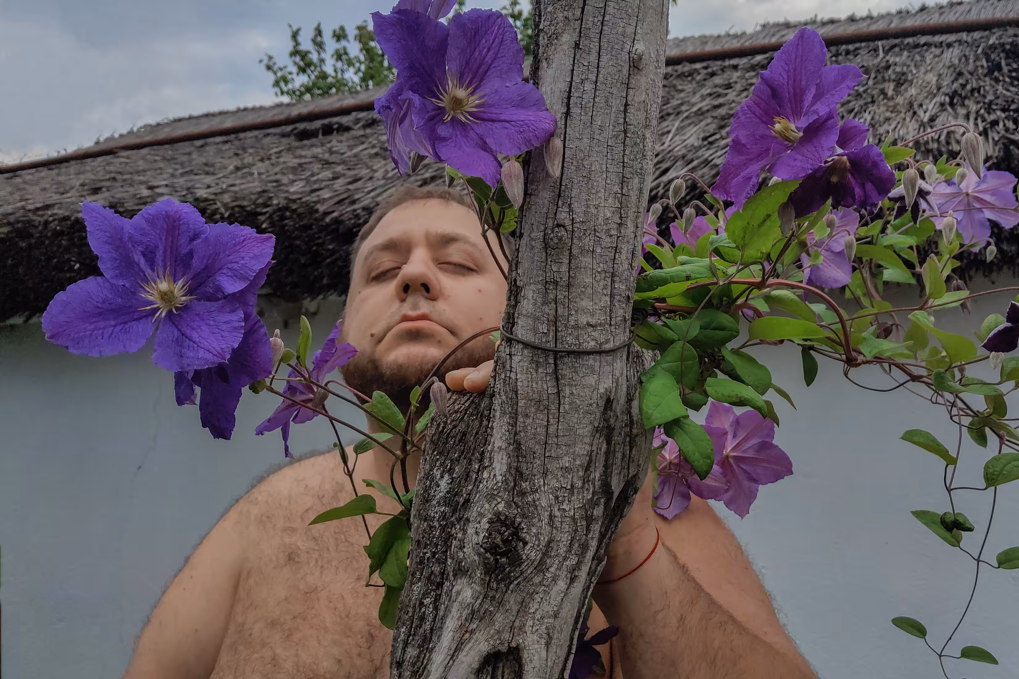 GIANT EDITION FLOWERS