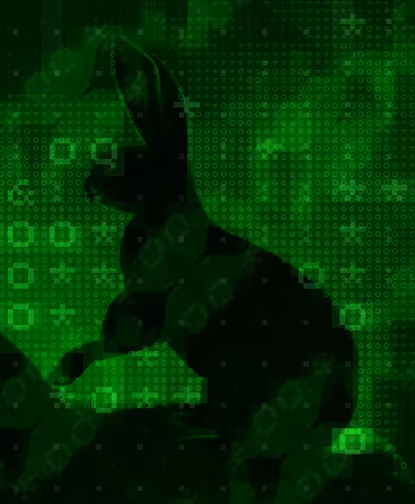 Follow the Black Rabbit