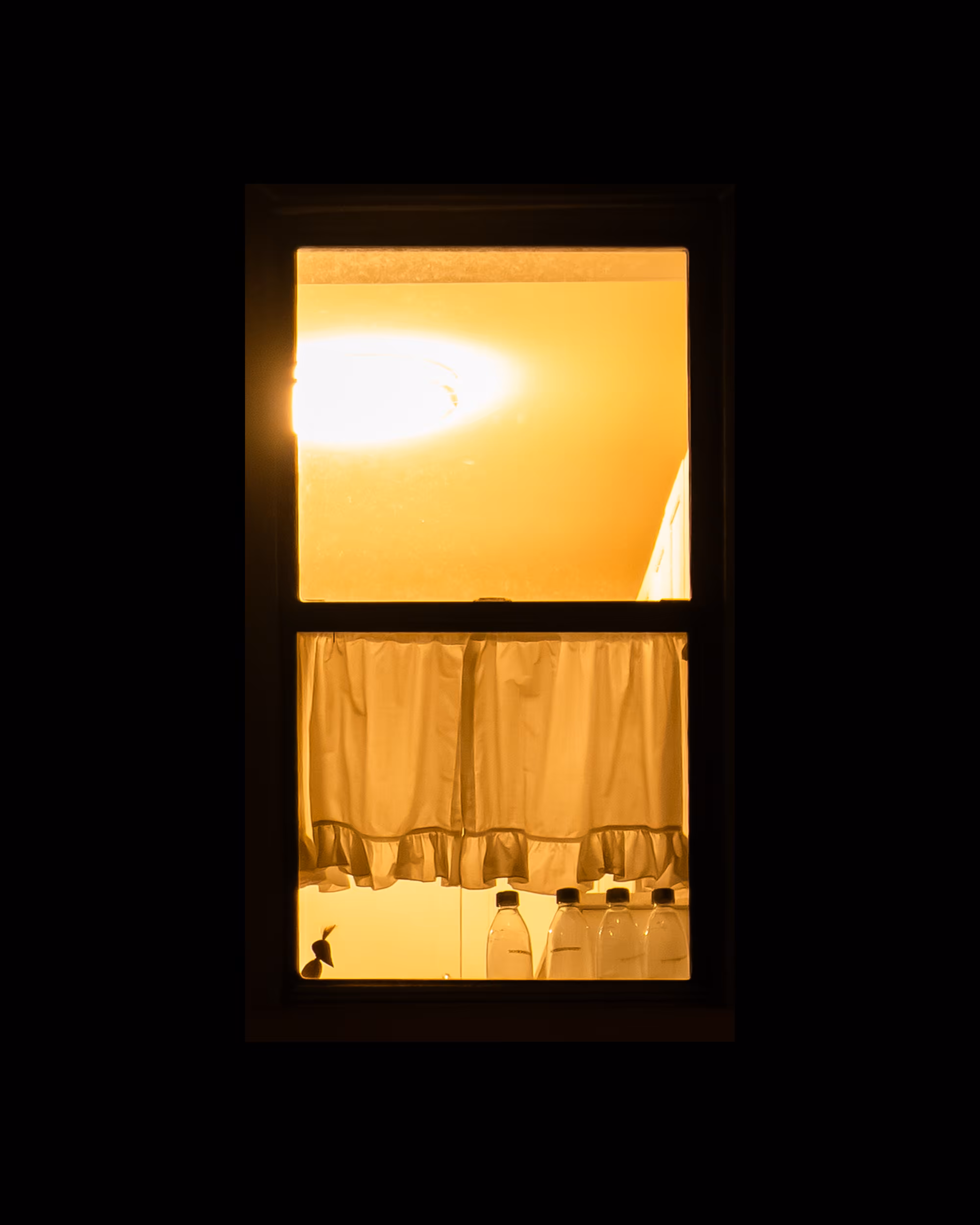 WINDOWS // NYC: WINDOW 135