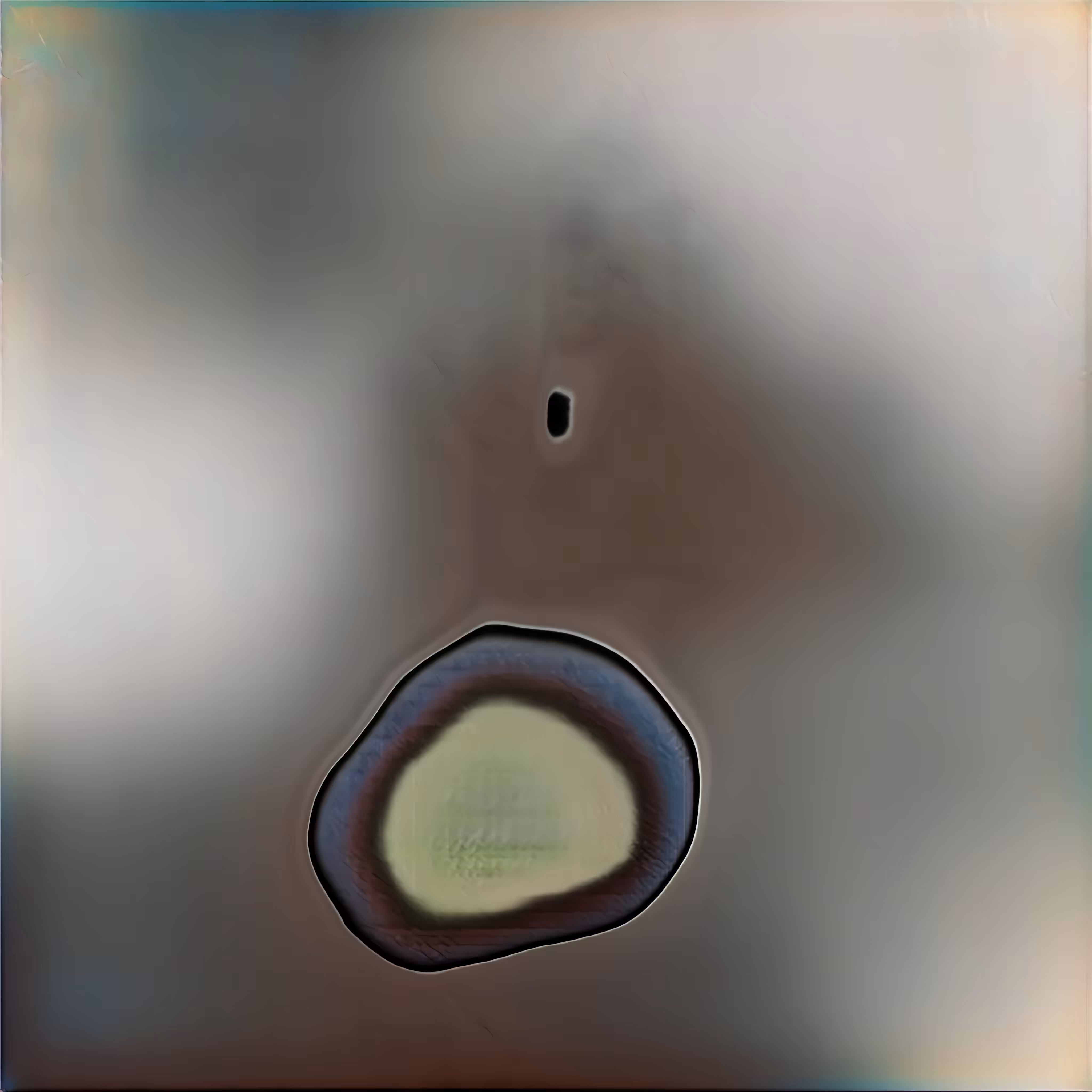 Gan Dream 001