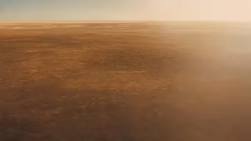 DX01: SINGULARITY 01009