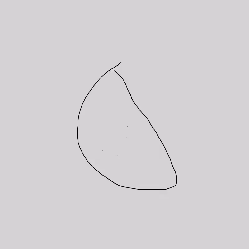 NeuralFaces #477