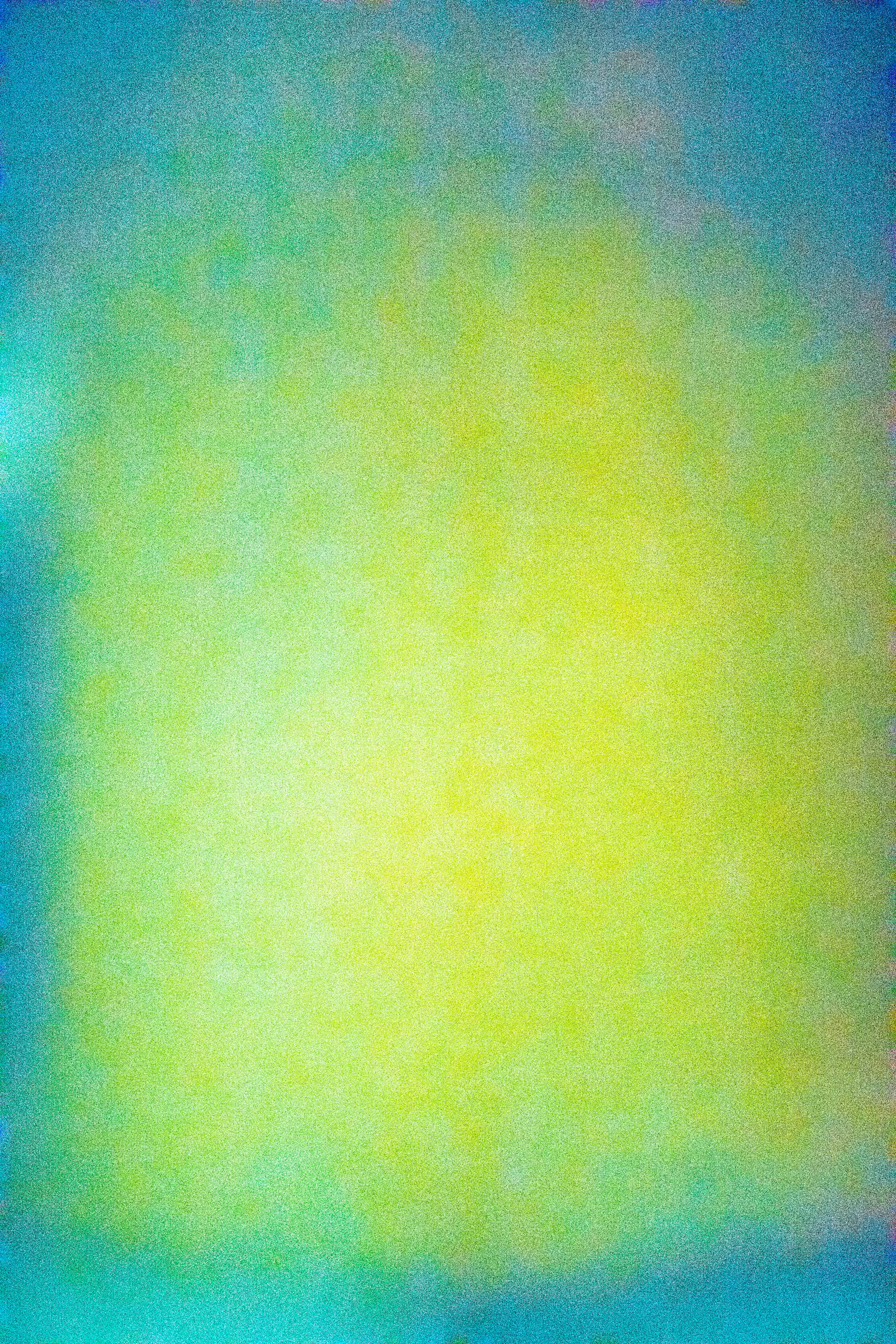 SALT 88