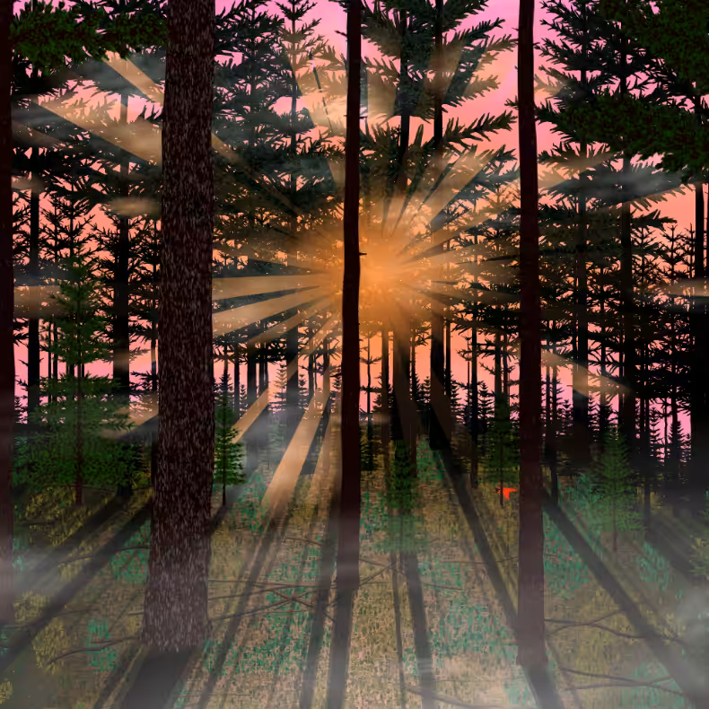 Forest Sunrise #39