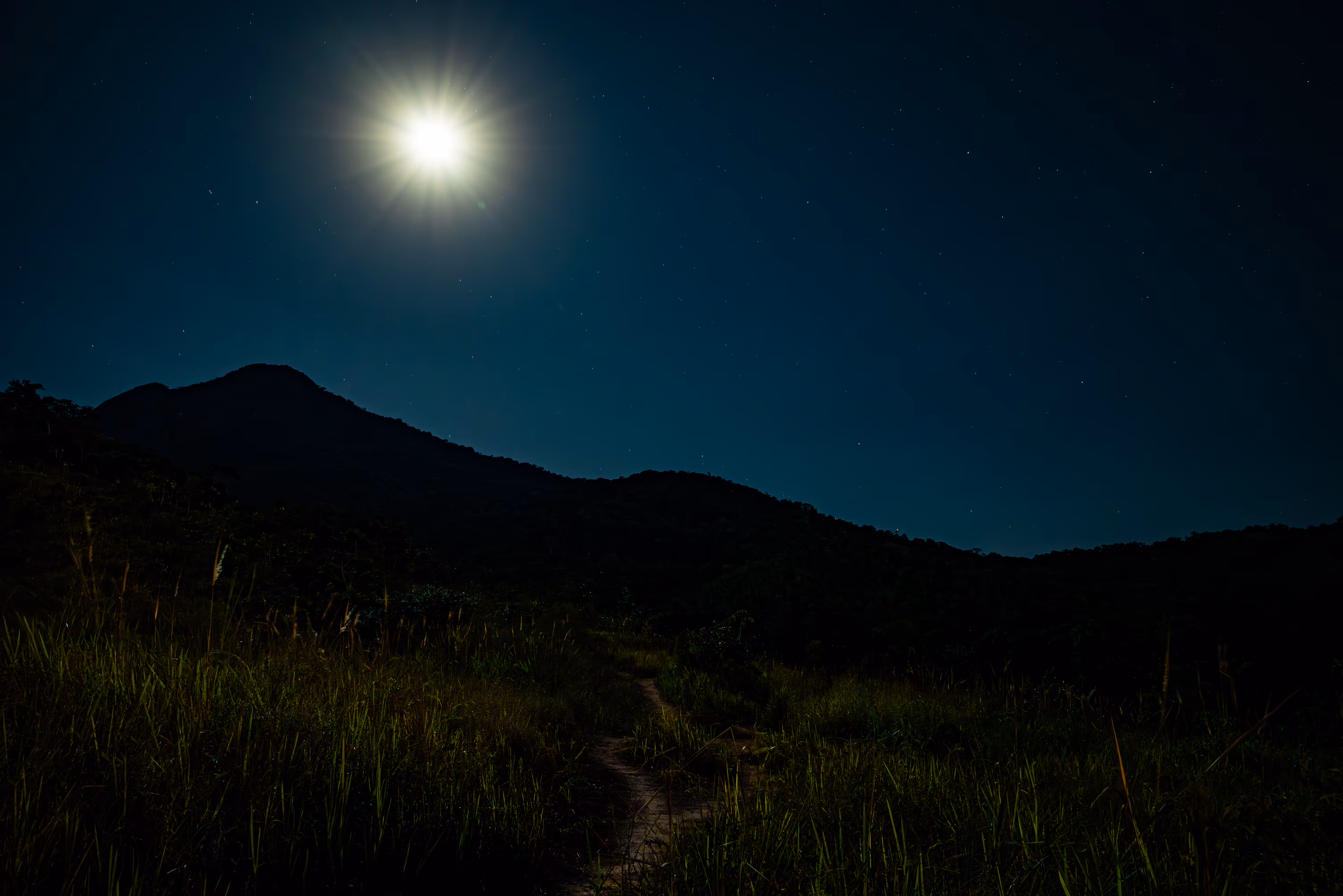 Moonlight Trail