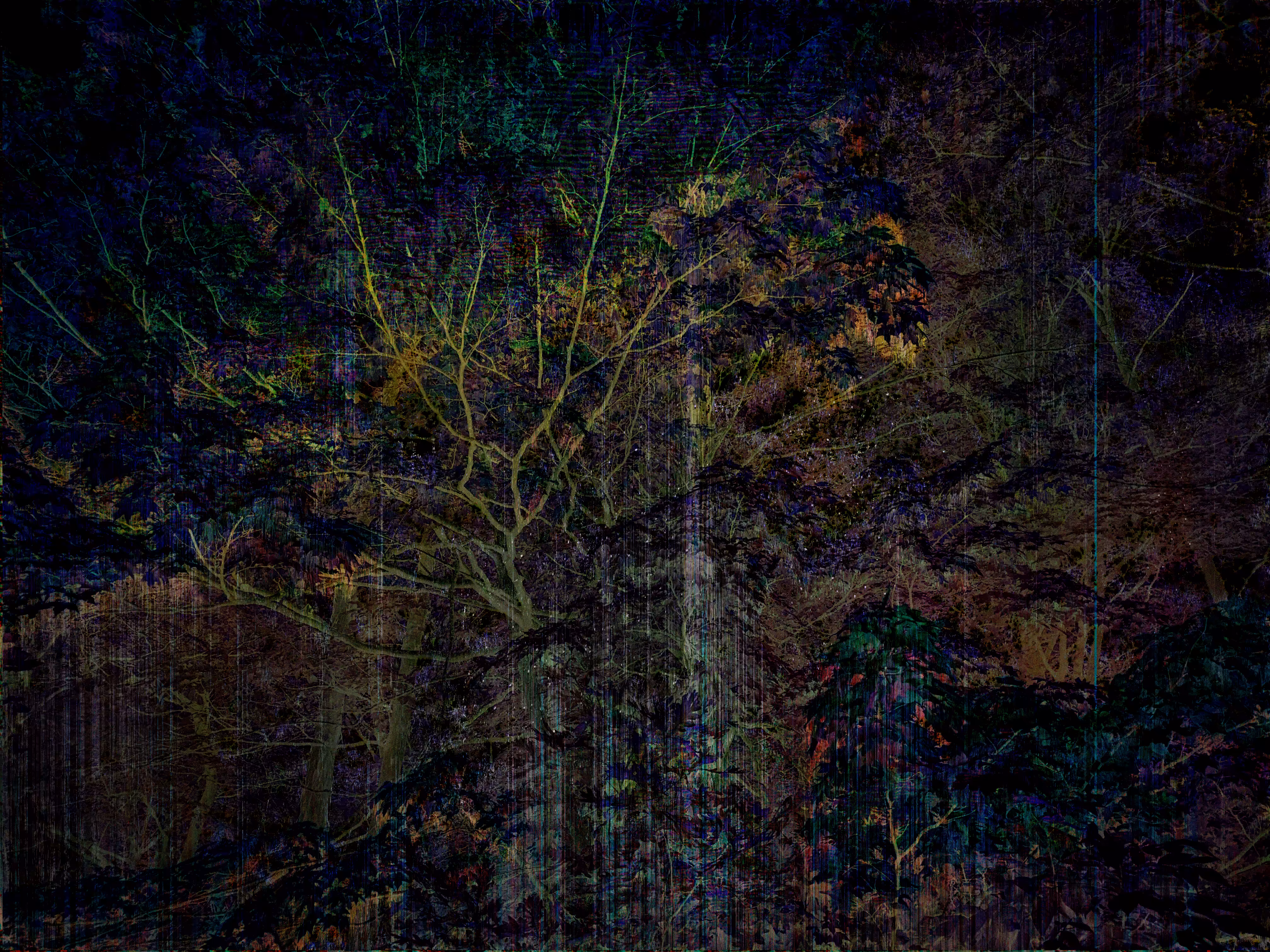 [tree.glitch]