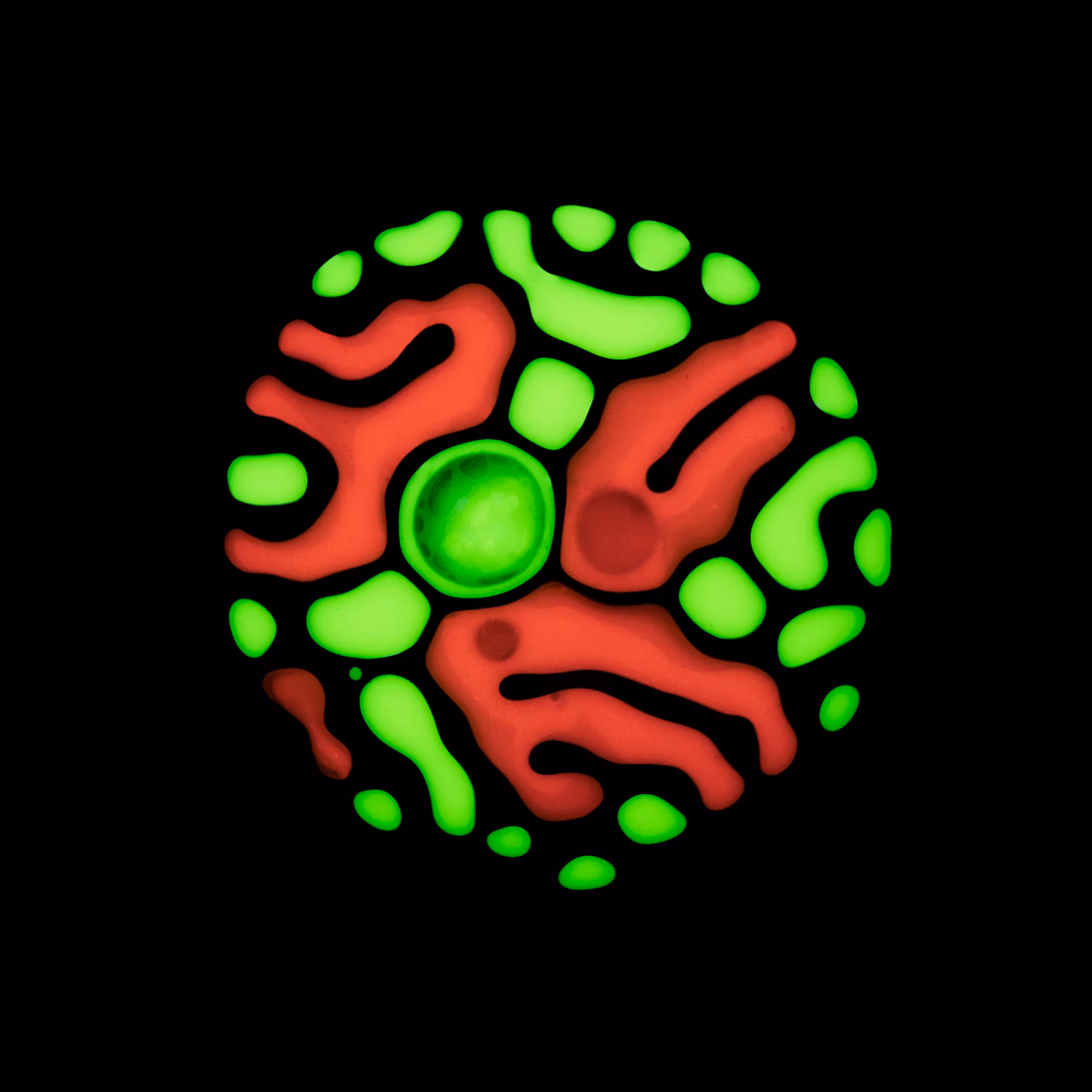 Haematopoiesis #61