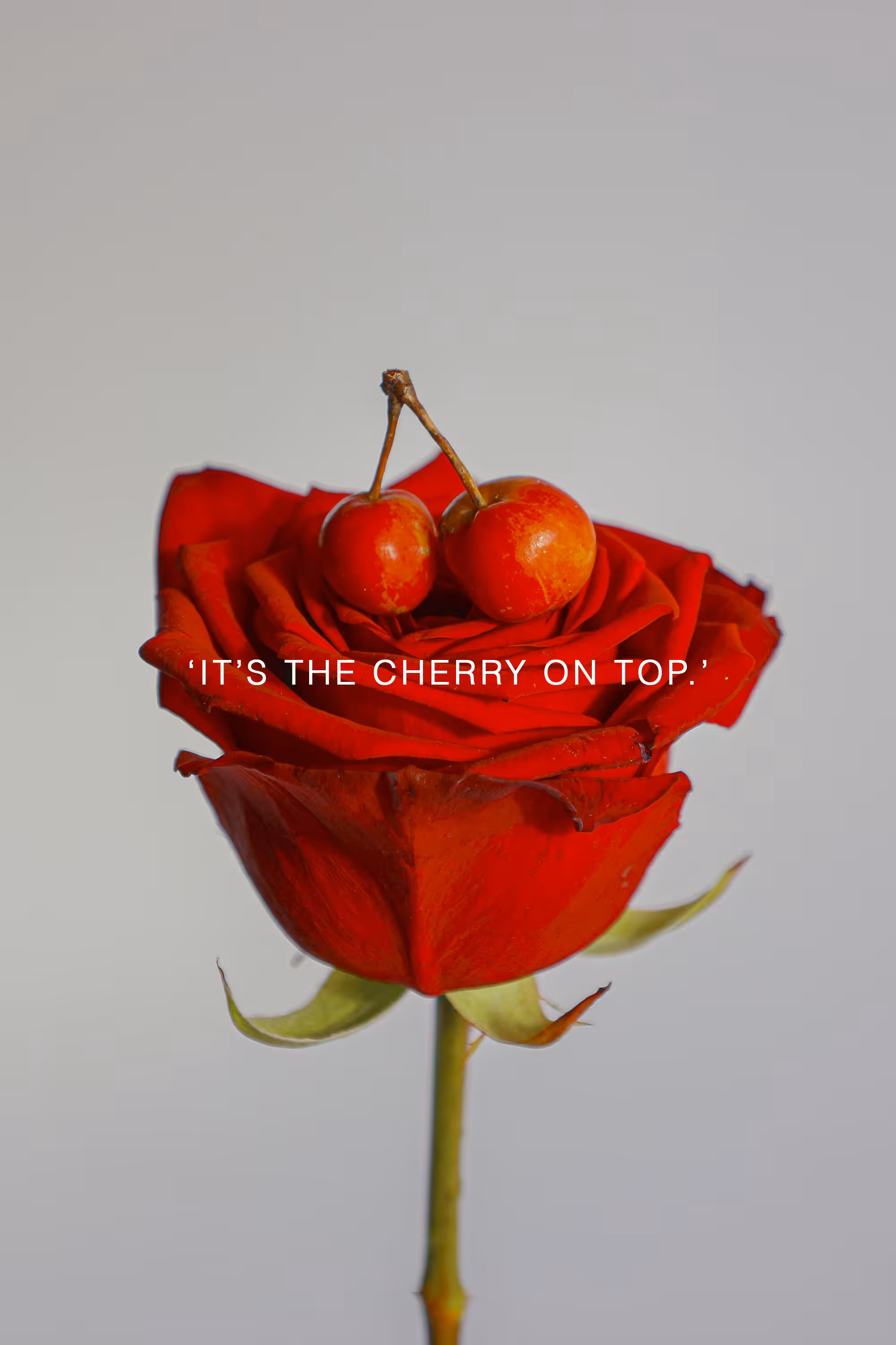 CHERRY