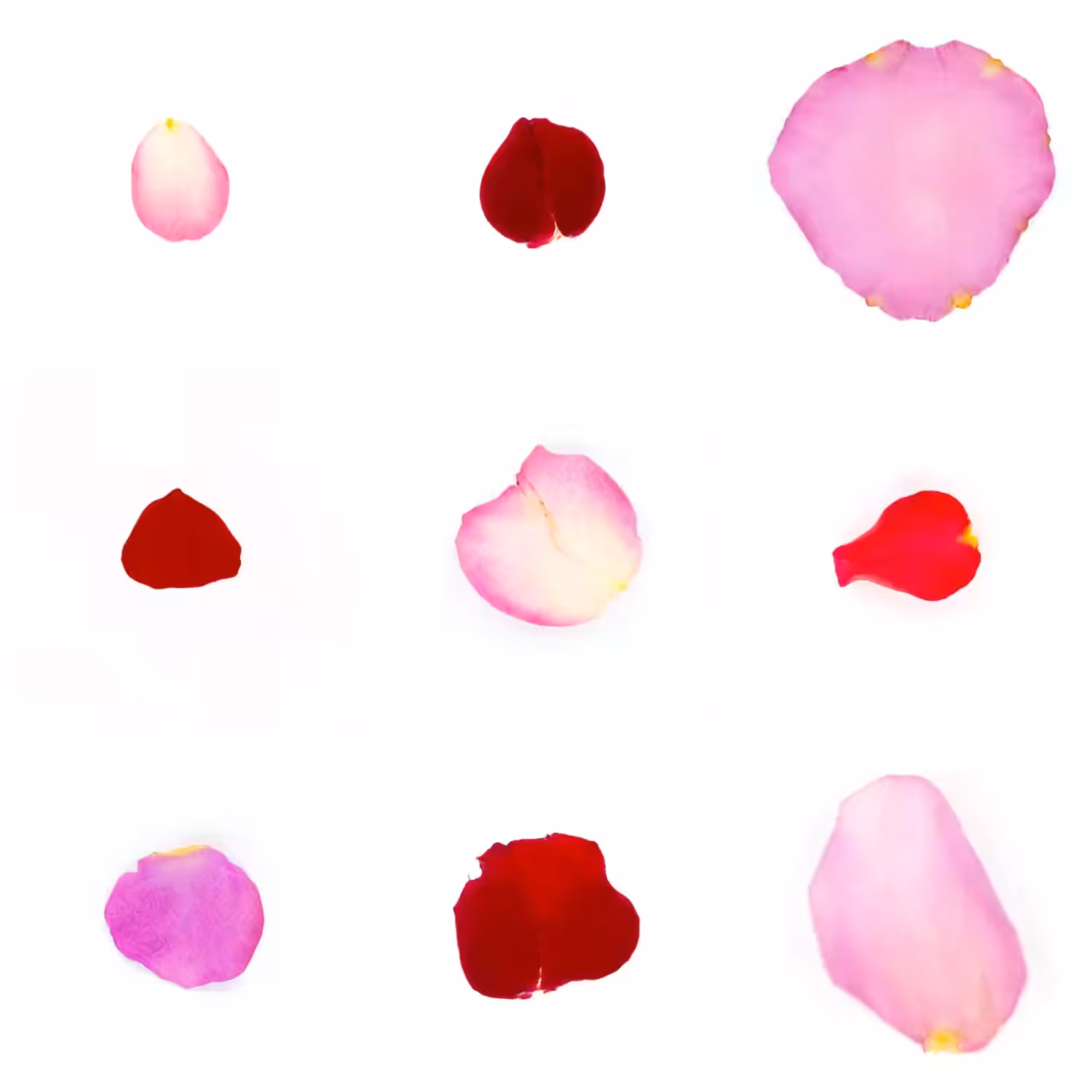 Infinite Petals 3x3#3525