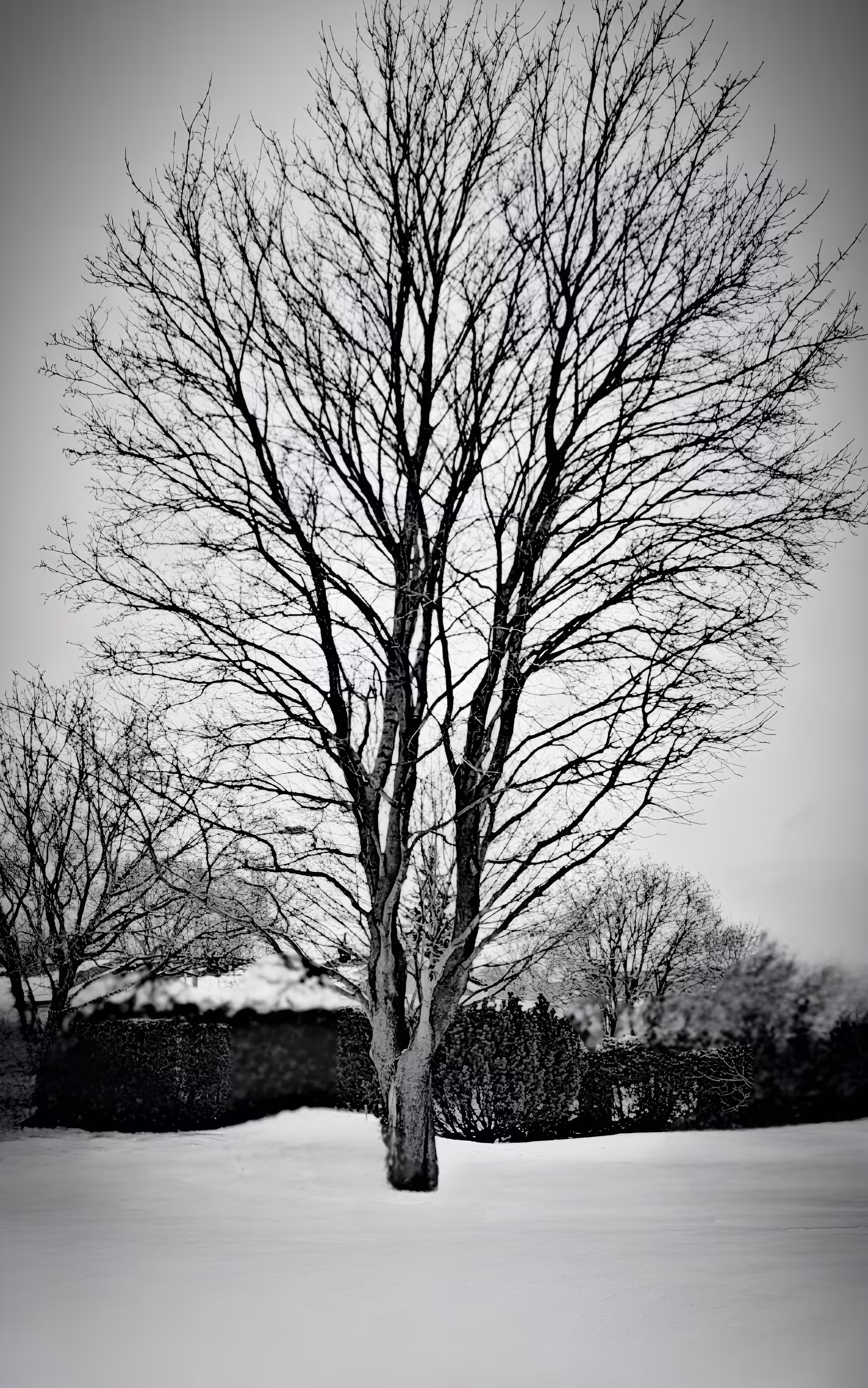 Day #07