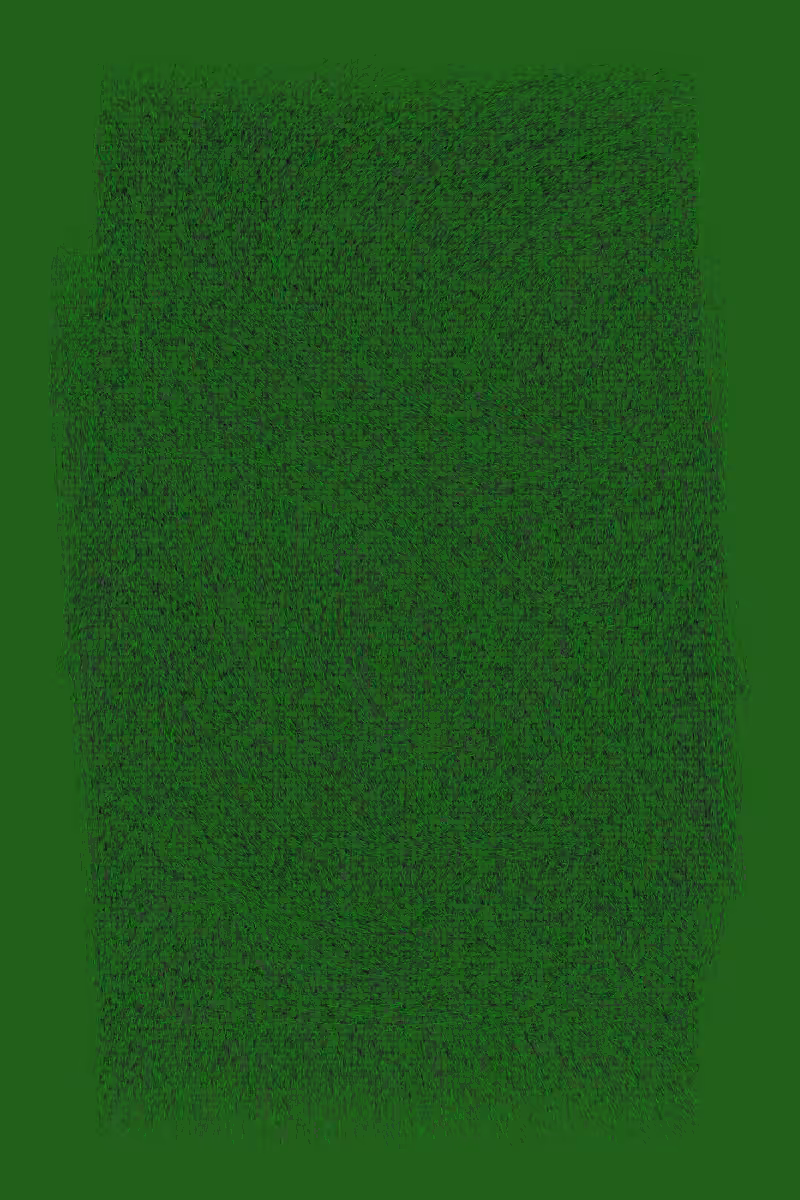 Grass #13