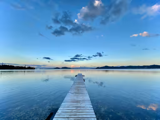 Off The Dock - The Dock