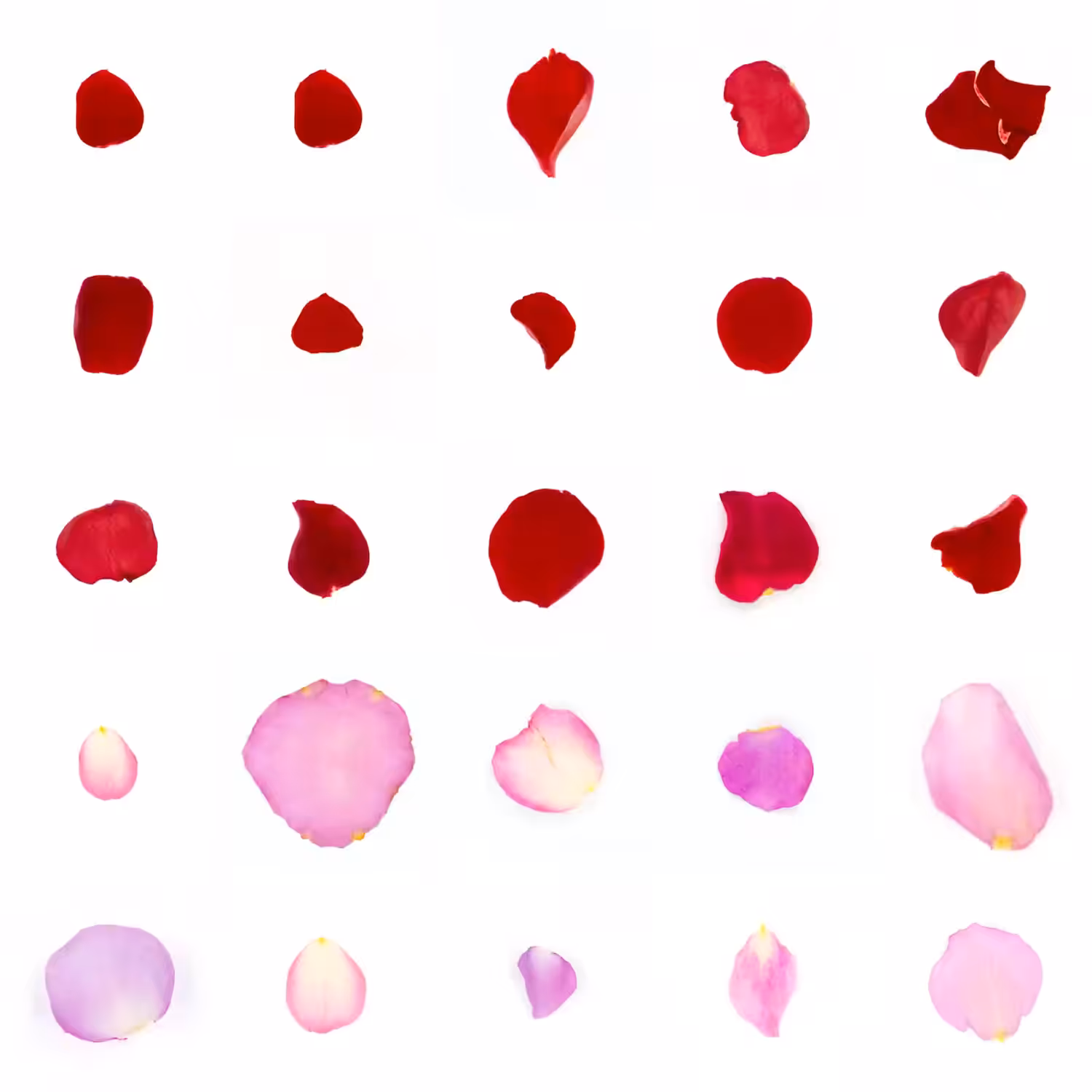 Infinite Petals 5x5#21162
