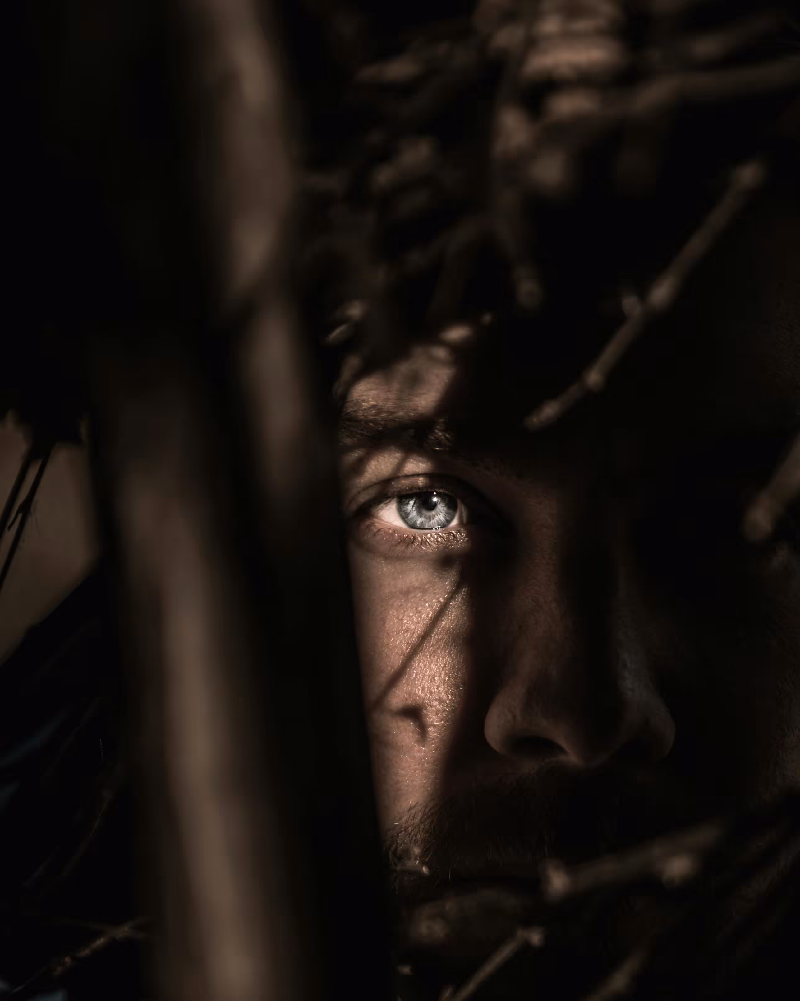 "The Watcher Beneath the Branches"