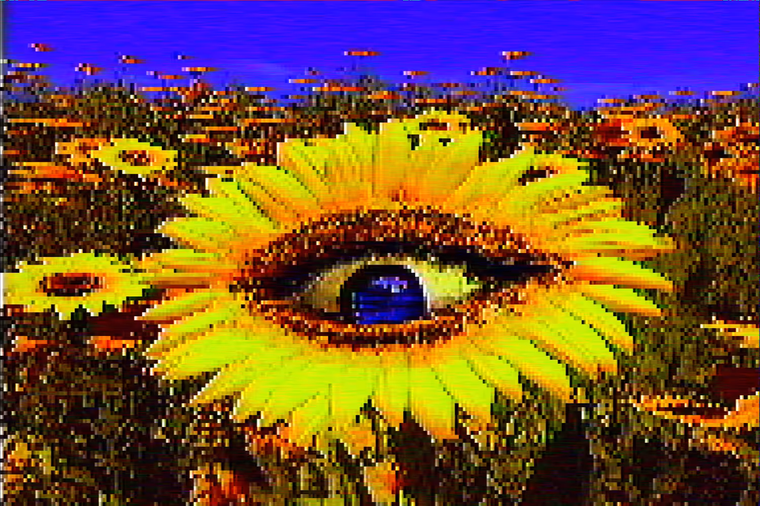 Flowerboi's Ecstasy 