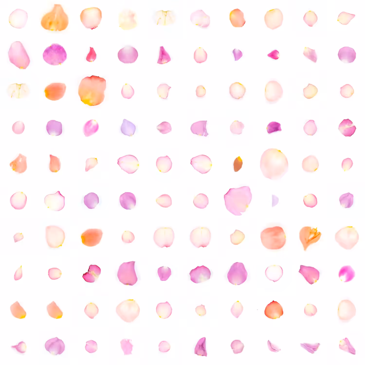 Infinite Petals 10x10#10051