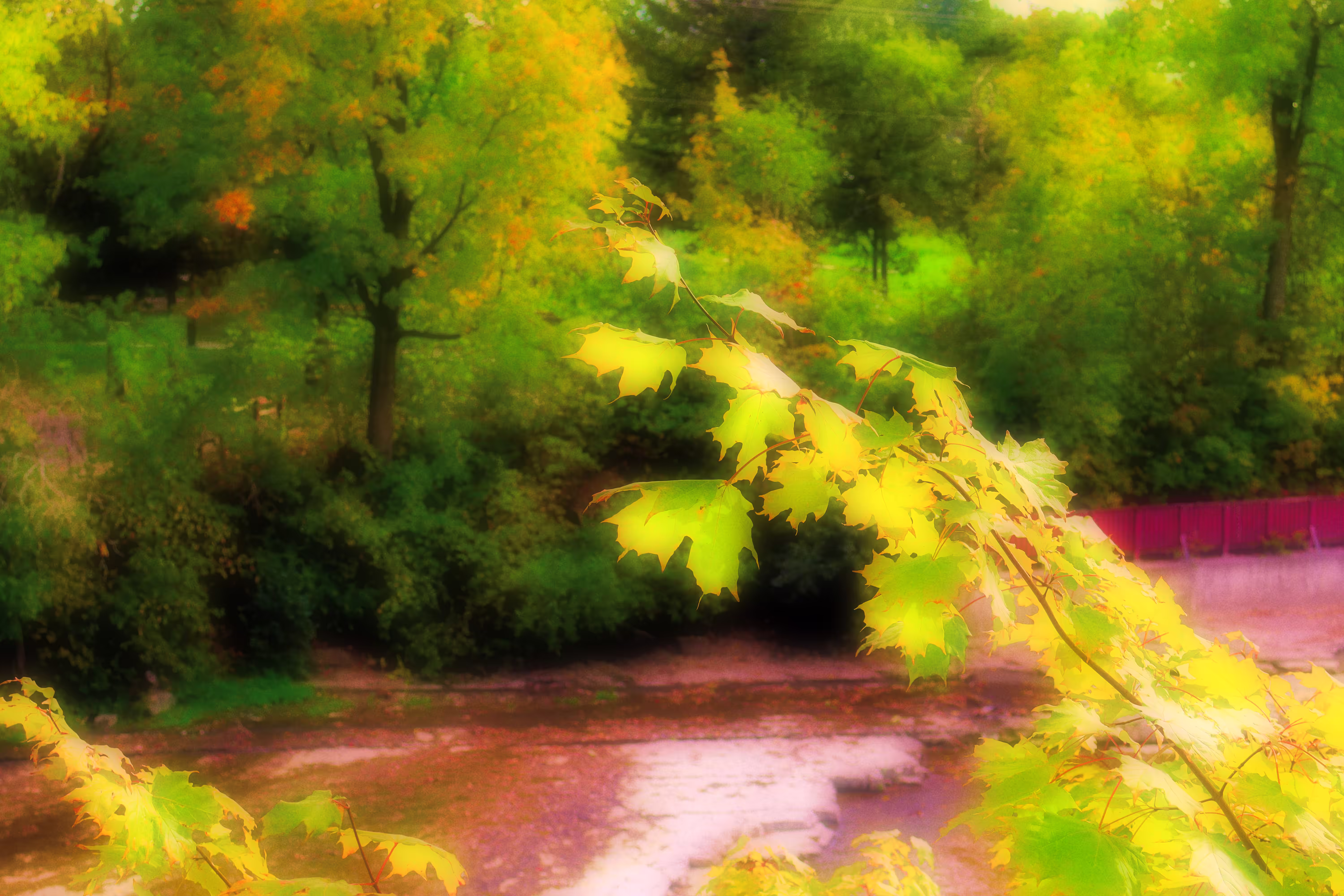 Sweet Autumn