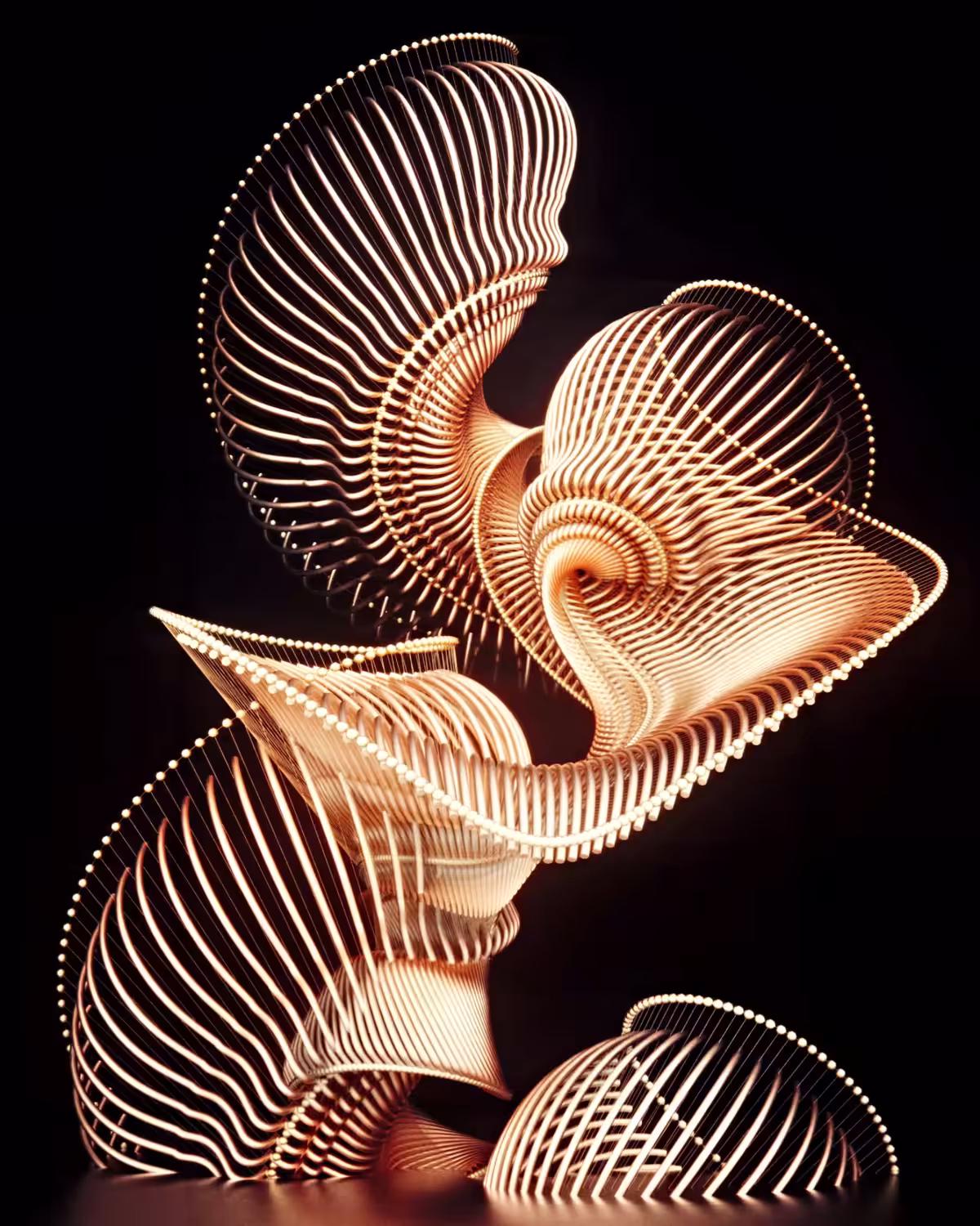 Metafold 05