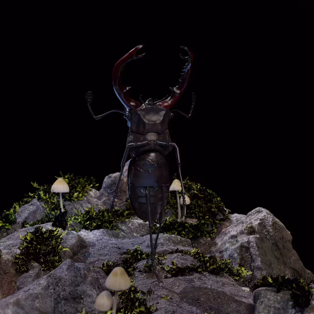 DANCING INSECT vol1