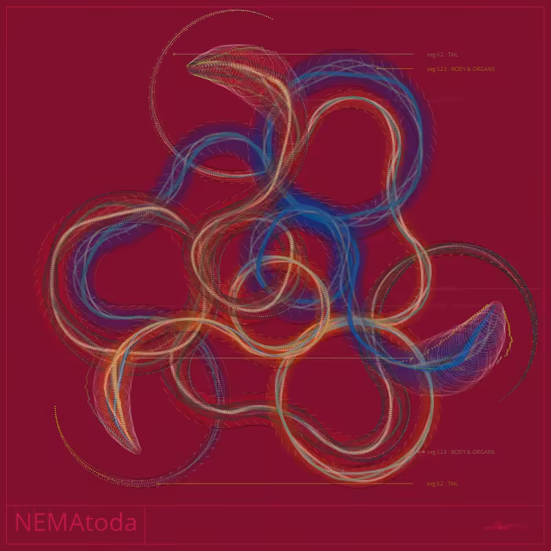 NEMA #49