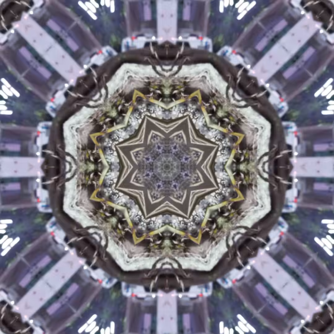 star seeds