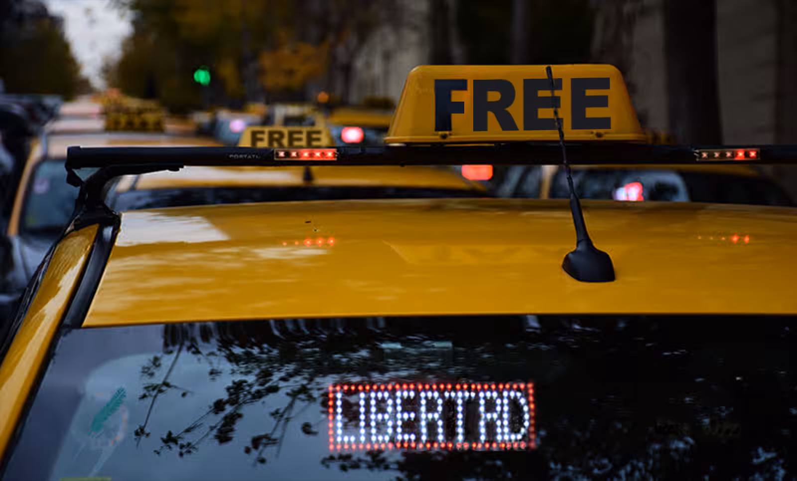 Freedom