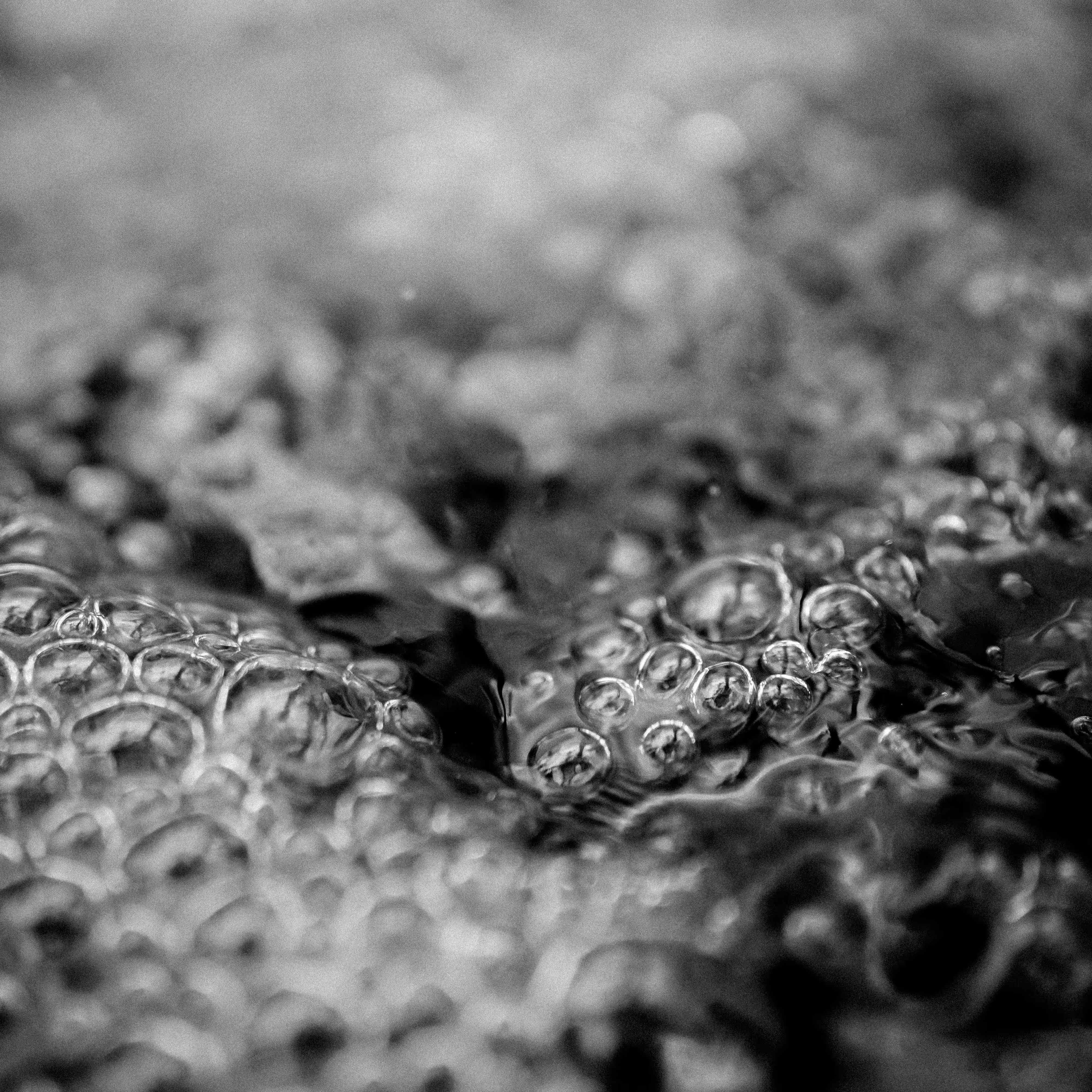 refractive index 01