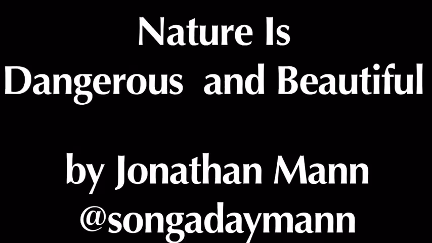 Song A DAO: Nature is Dangerous and Beautiful | Song A Day #711