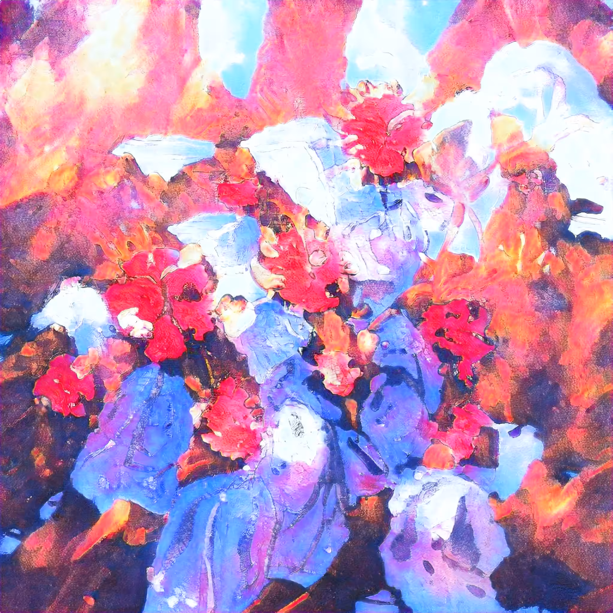 Daily Flower #67