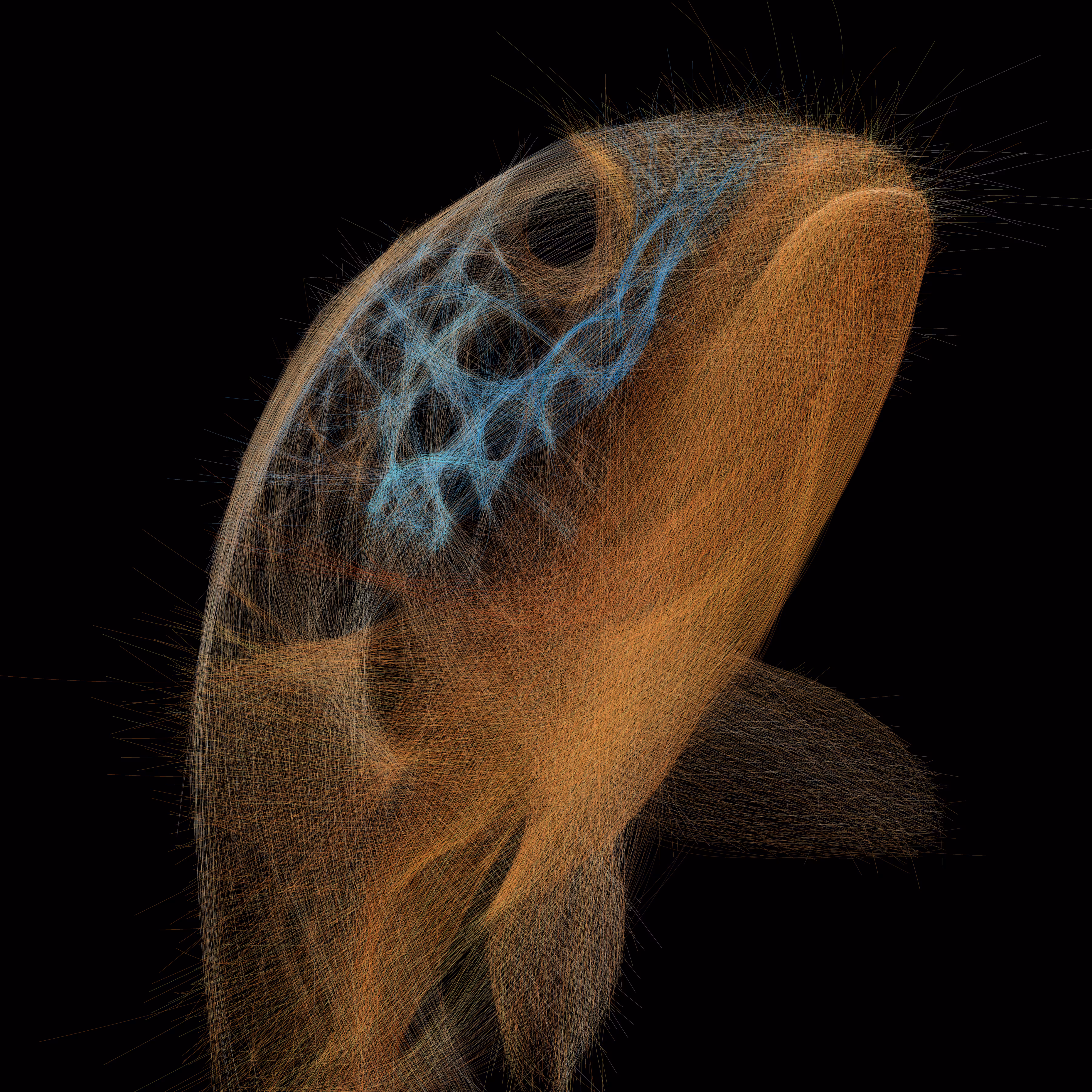 Underwater 298