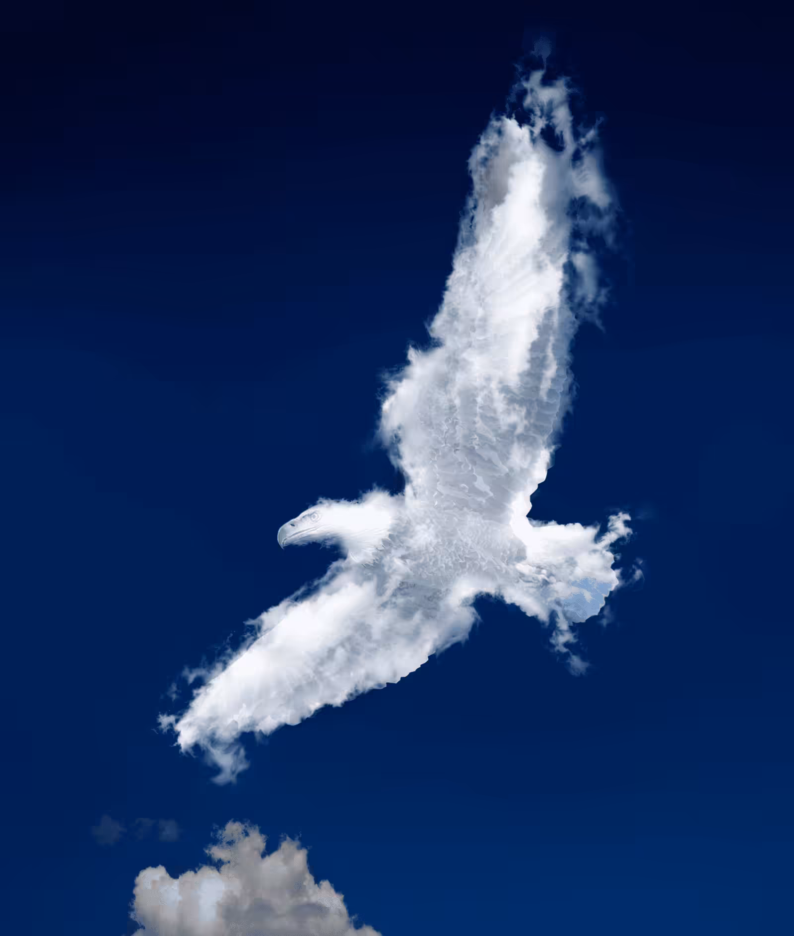 FLY 
