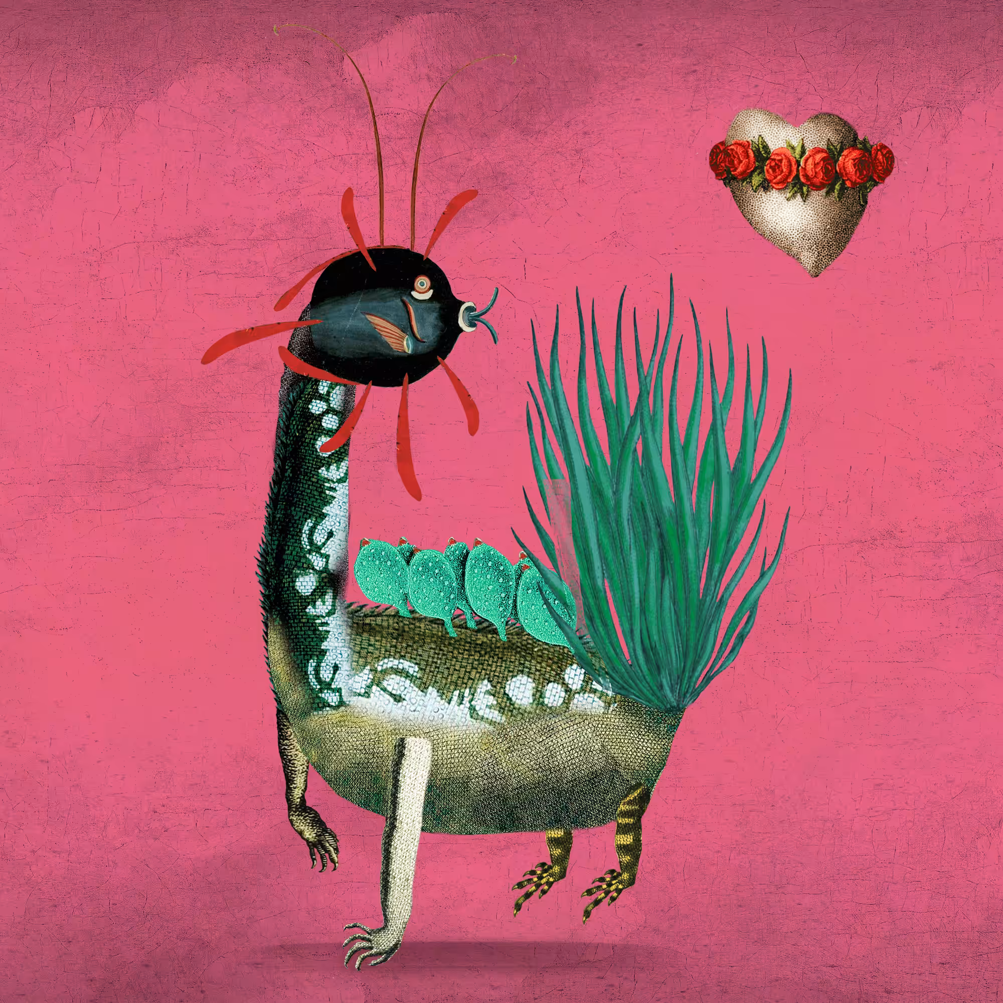 Impossible Creature #118