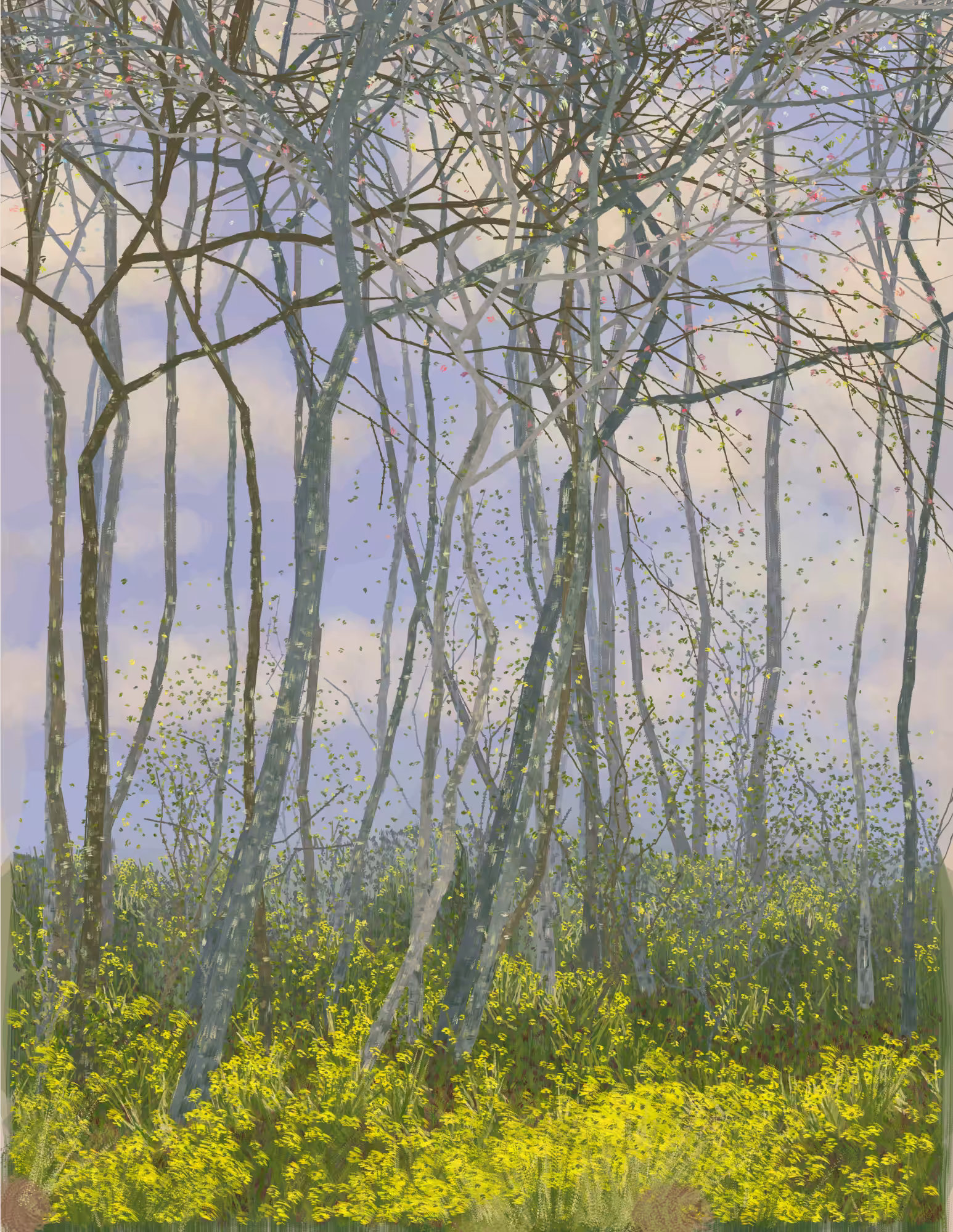 Deep Forest #340