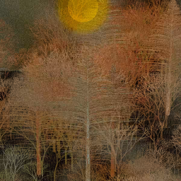 Moonlit Native Bush #27