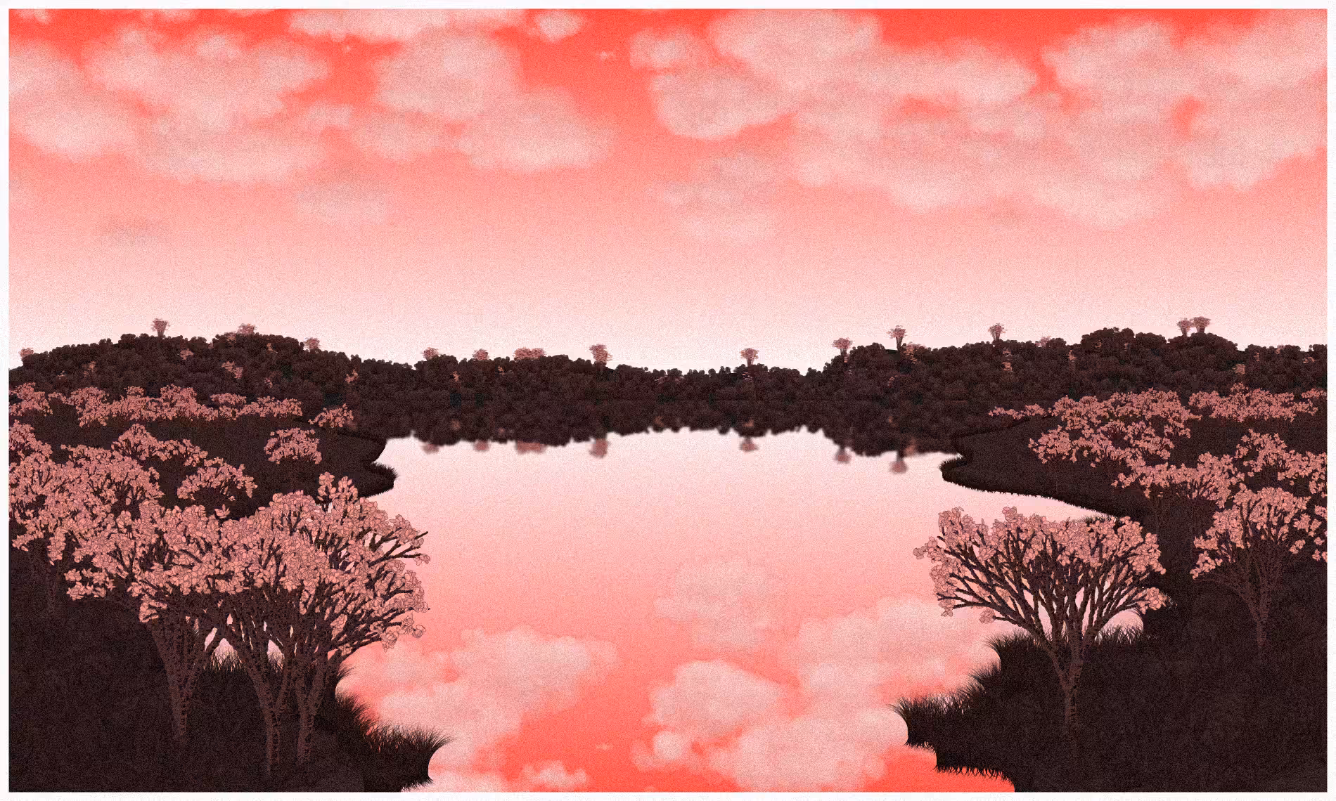 Reflected #6