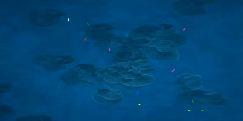The Restoration Scheme: Reefs #32