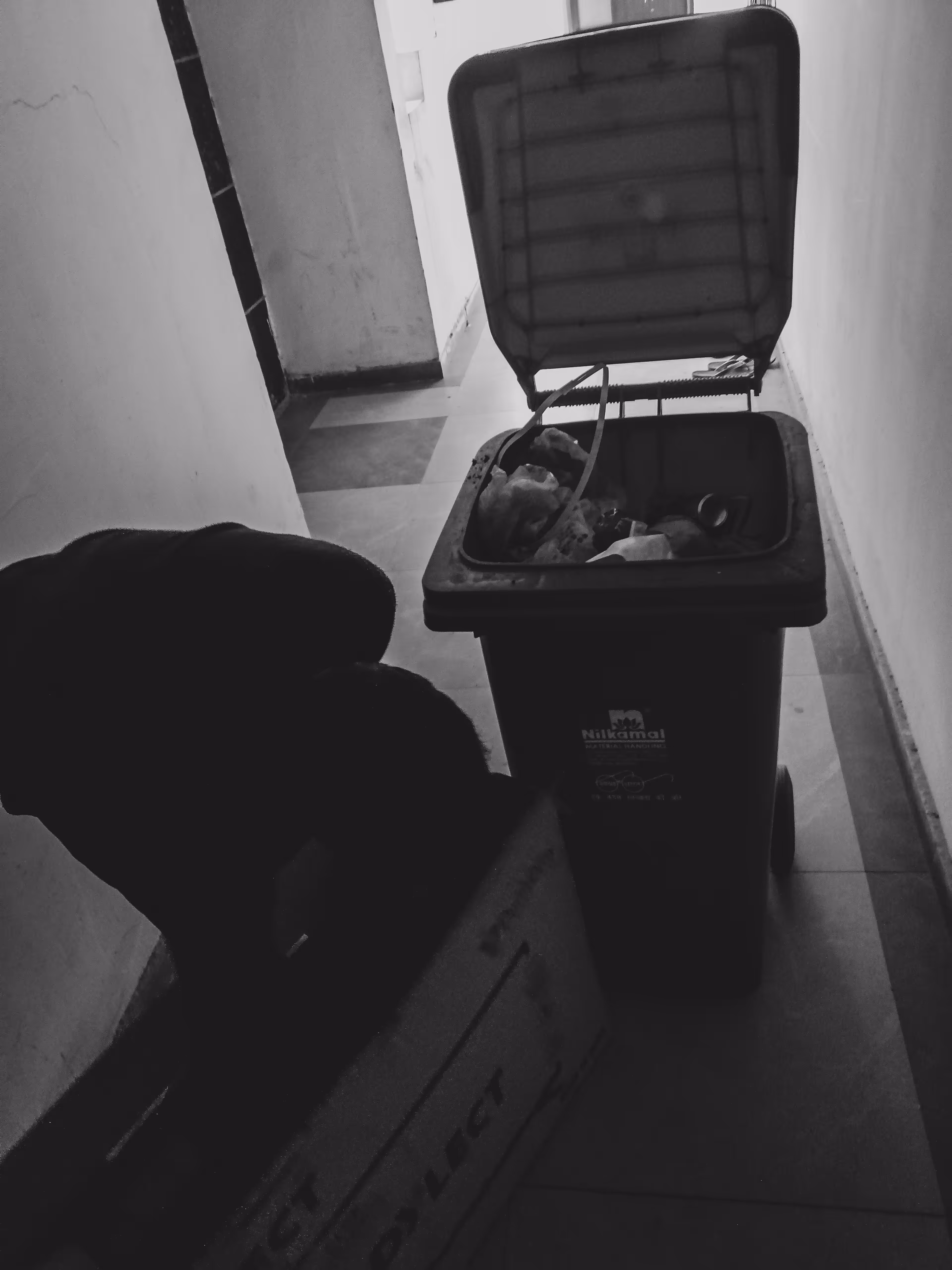 The Collector
